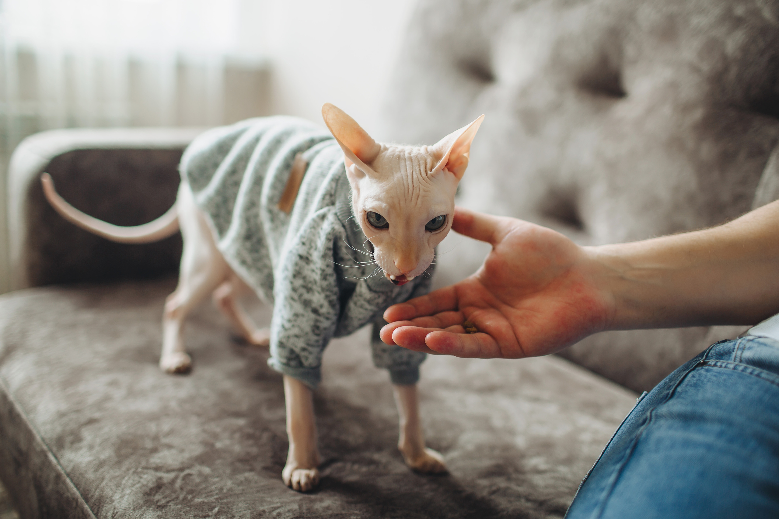 Дима, Лиля и Аделина. Свадебный и семейный фотограф в Самаре Посконнова Анна