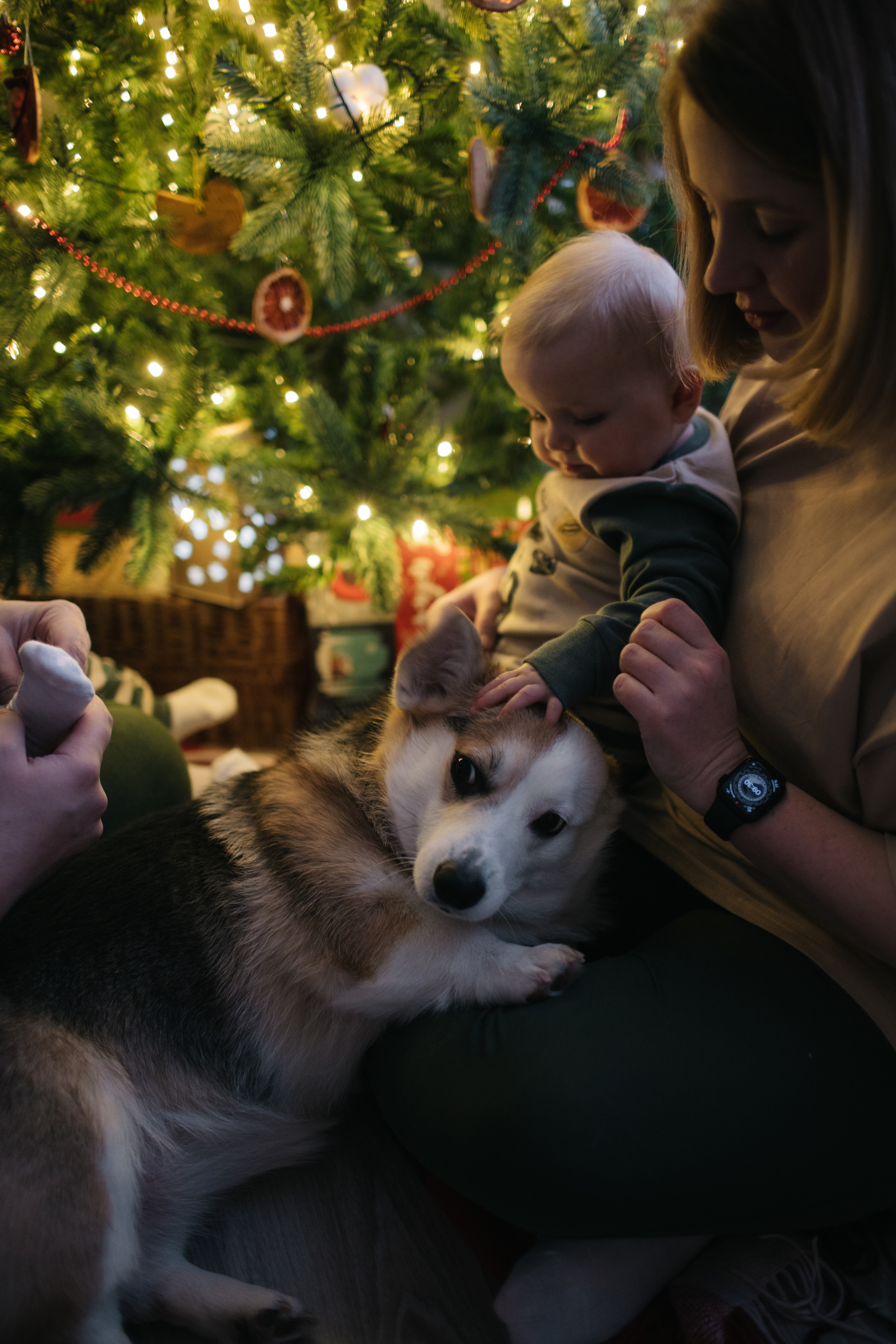 Паша, Лиза, Варенька и Васенька. Свадебный и семейный фотограф в Самаре Посконнова Анна