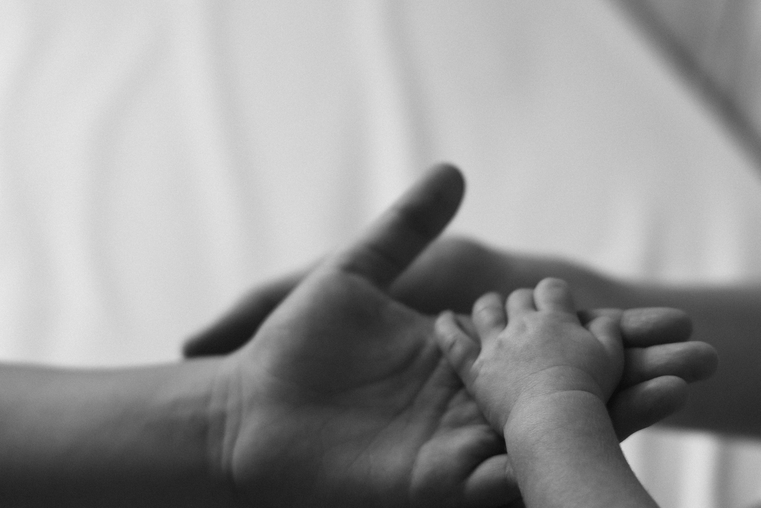 Ира, Аня и Вова. Свадебный и семейный фотограф в Самаре Посконнова Анна