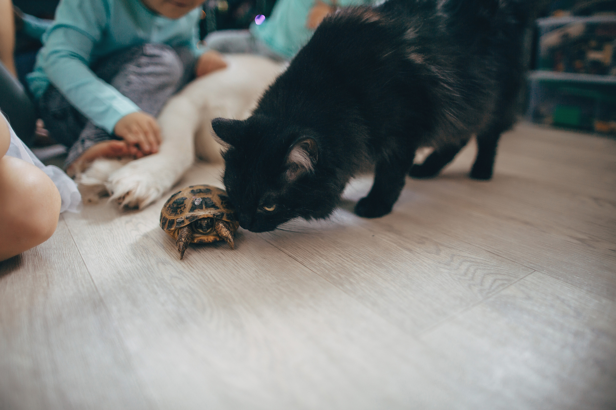 СемьЯ. Свадебный и семейный фотограф в Самаре Посконнова Анна