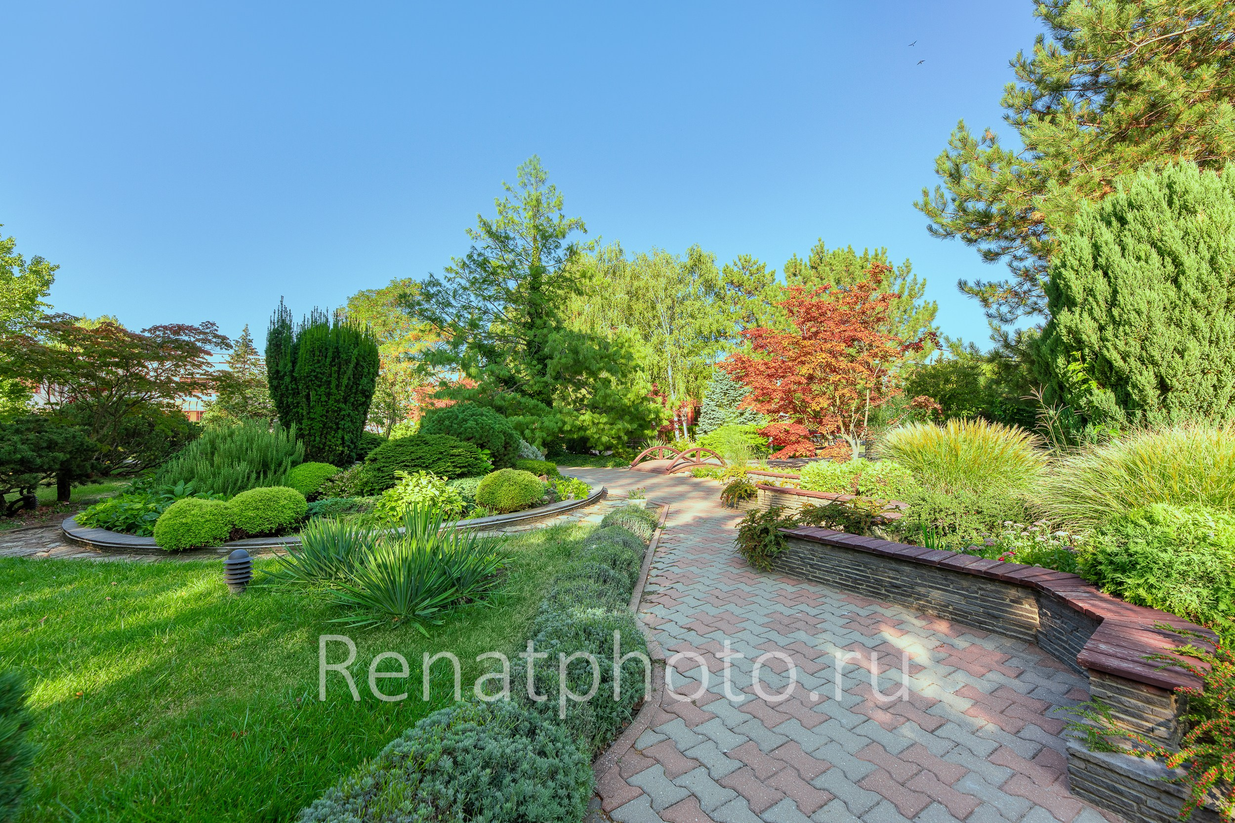 Renatphoto-интерьерная фотосъемка в краснодаре. Профессиональная фотосъёмка интерьеров, предметная фотосессия еды для меню г. Анапа