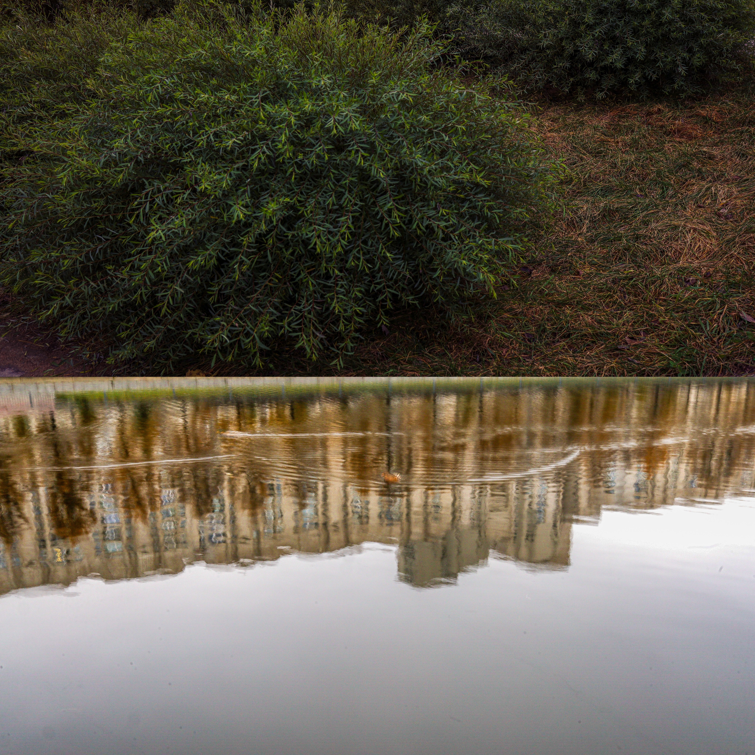 Пространства &. Фотохудожник в СПб