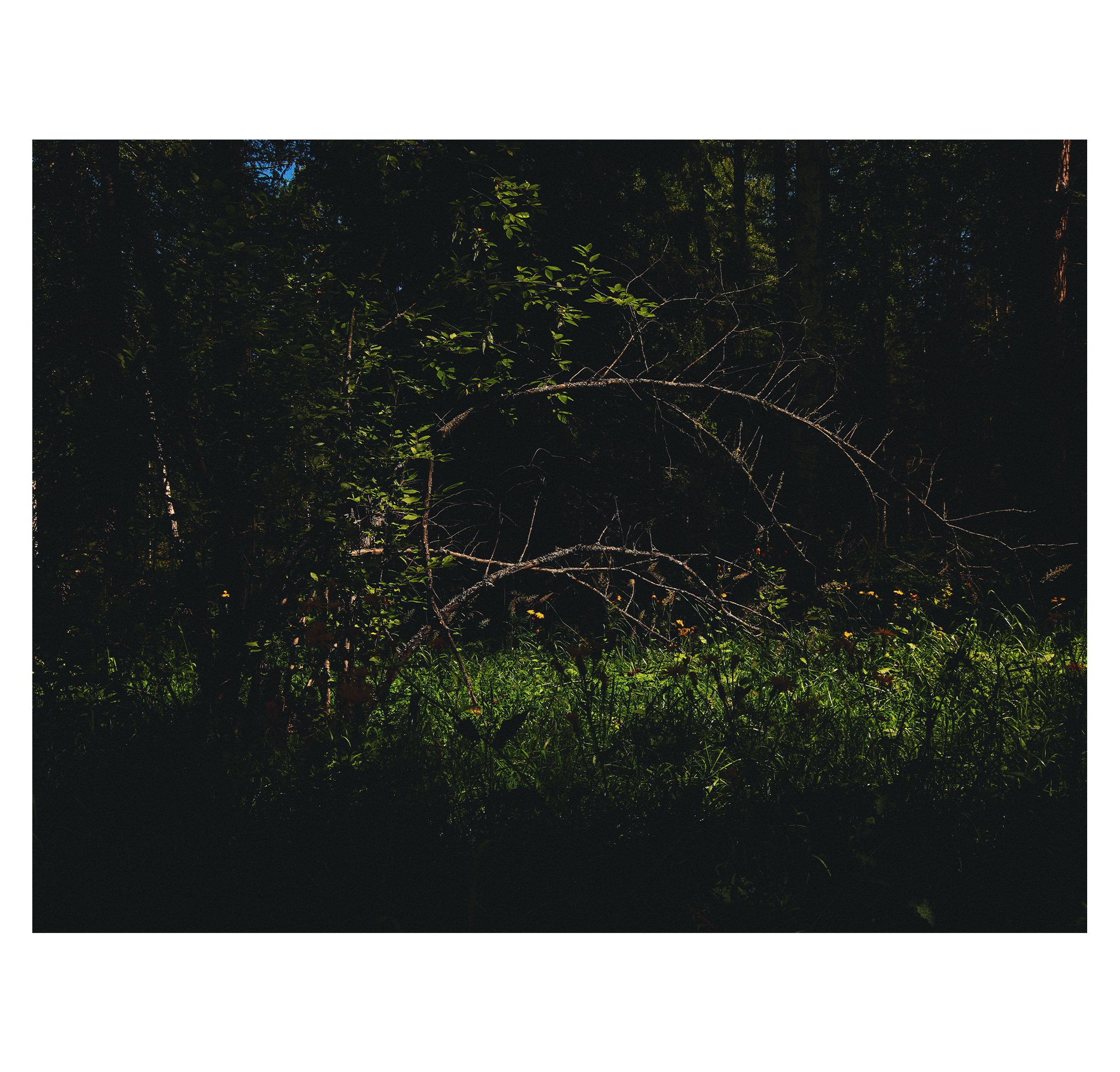 Summer hike. Фотограф/дизайнер в Екатеринбурге Хитрый Дмитрий