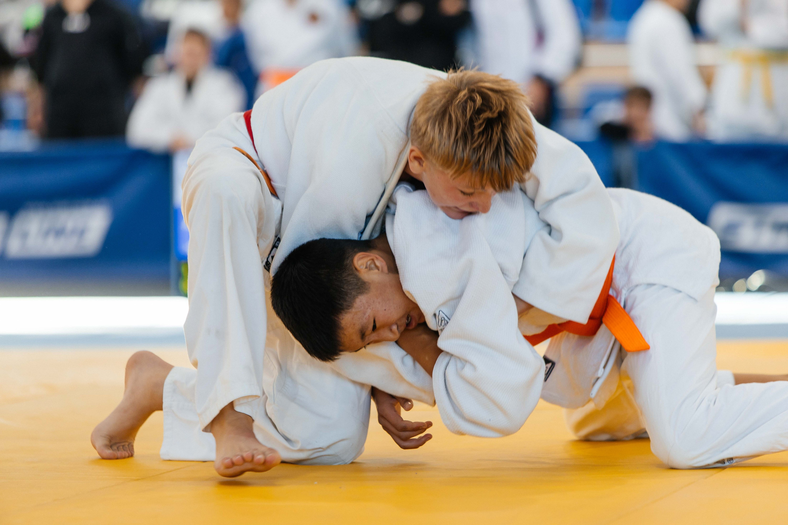 Всероссийские соревнования по Дзюдо. _Carpe diem_