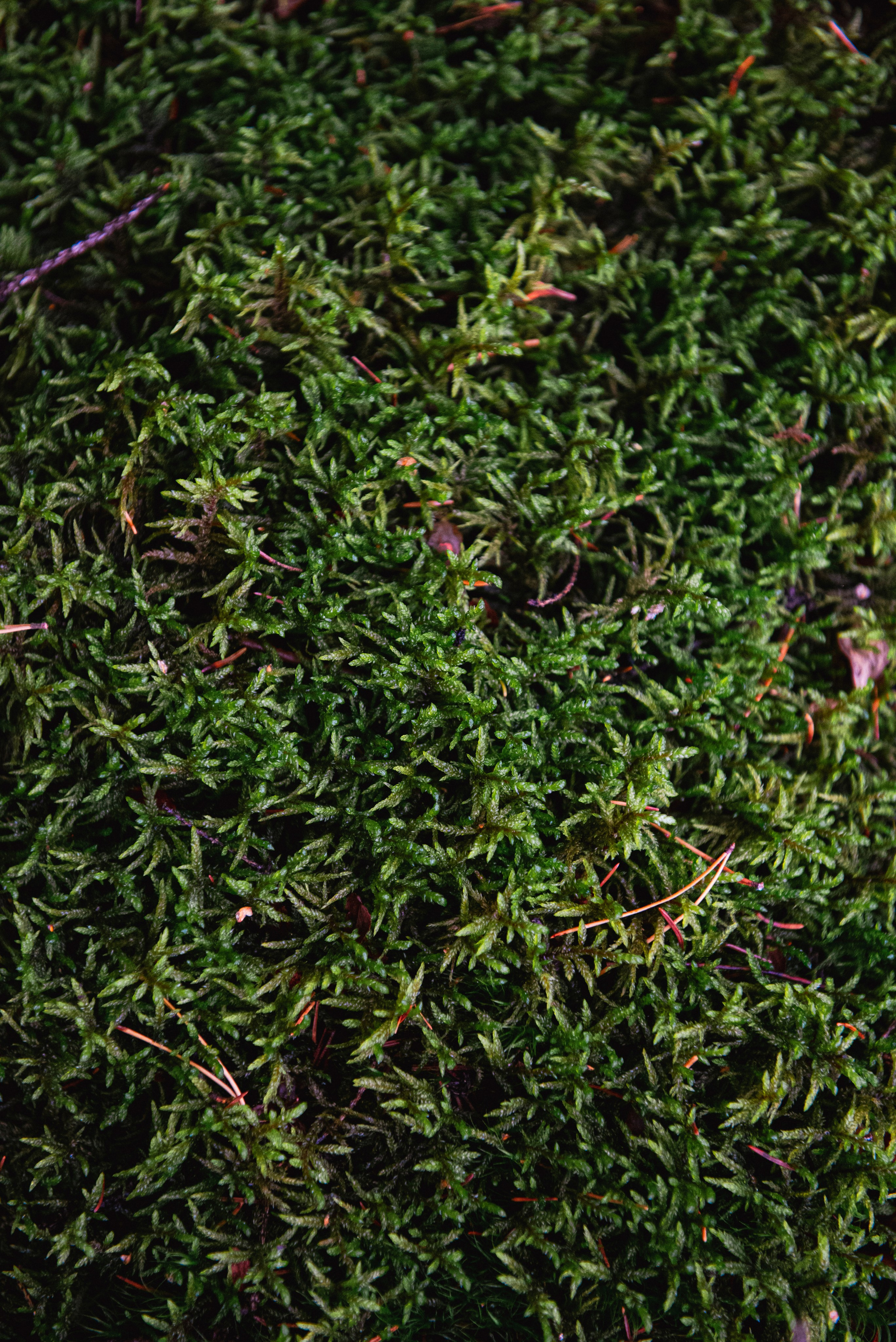 Текстуры. Портретный и архитектурный фотограф в Москве и Санкт-Петербурге