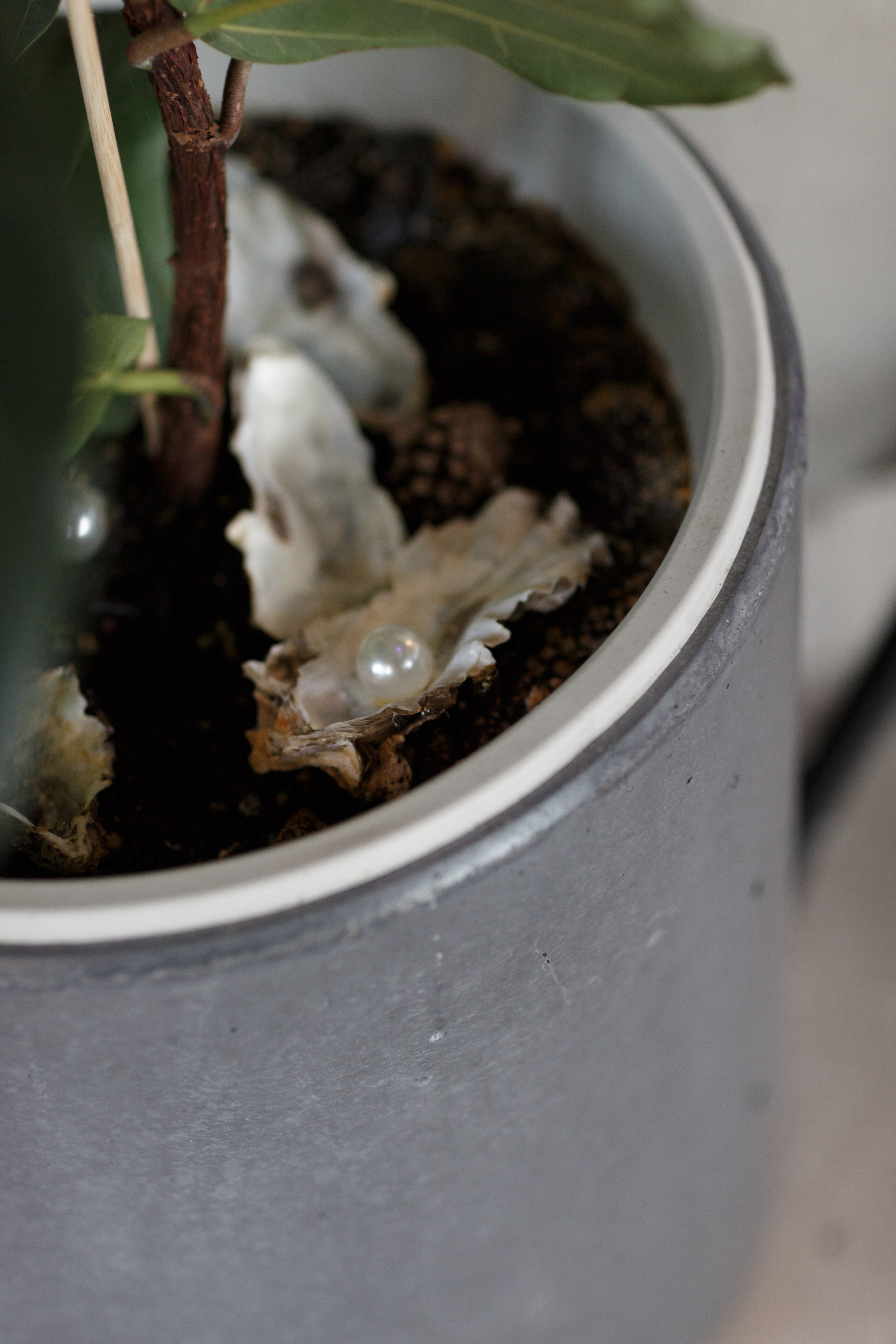 Свадьба Игоря и Ирины. Свадебный и семейный фотограф в Иркутске Яна Лиа