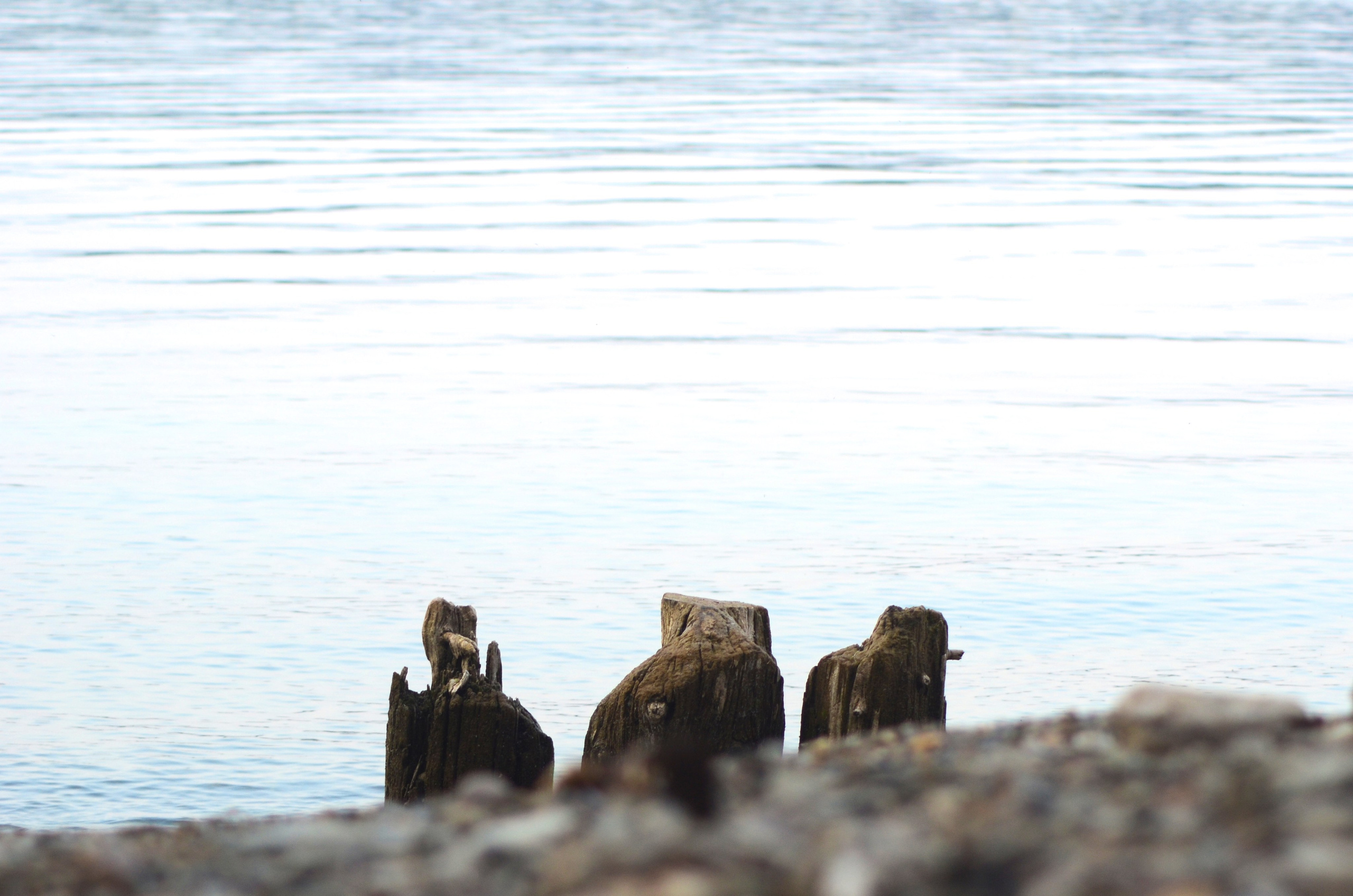 Системы хранения с фасадами из дикого дерева. Авторская фотография. Близнецовые пламёна