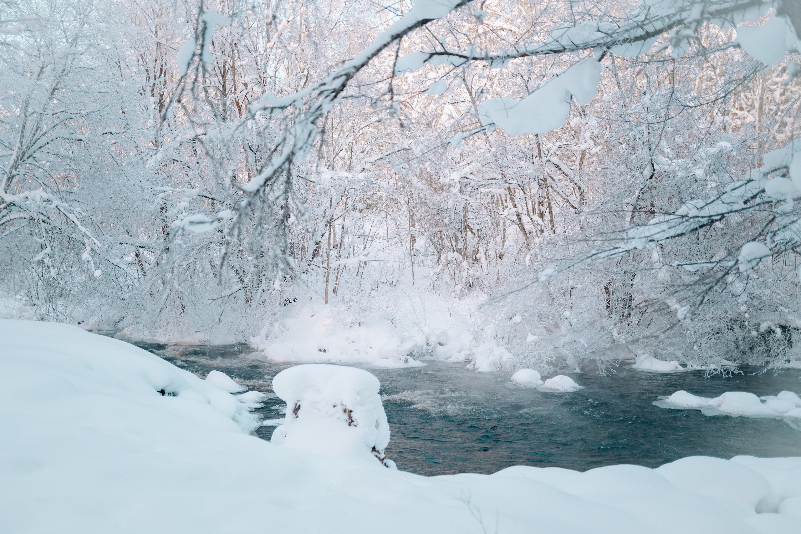 Пресс-тур 2. Фотограф Торопец Кристина Абрамова Kanwellia photography