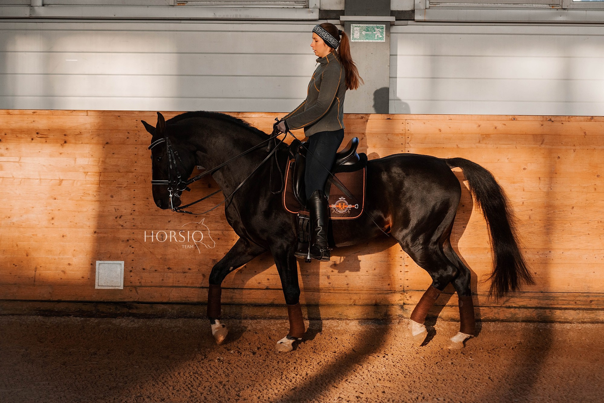 HORSIO тренировка. Конный фотограф Куракина Дарья • Фотосессии с лошадьми