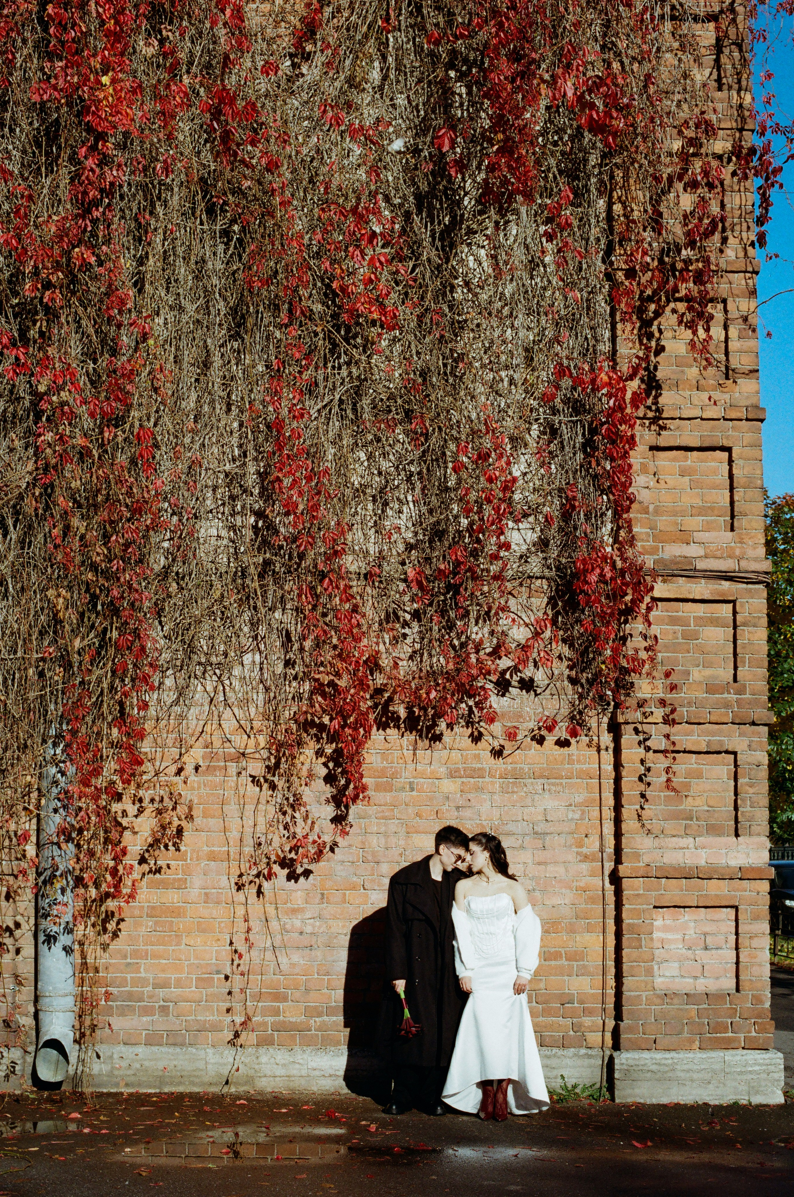 Плёнка. Свадебный фотограф в Петербурге Таша Вайб
