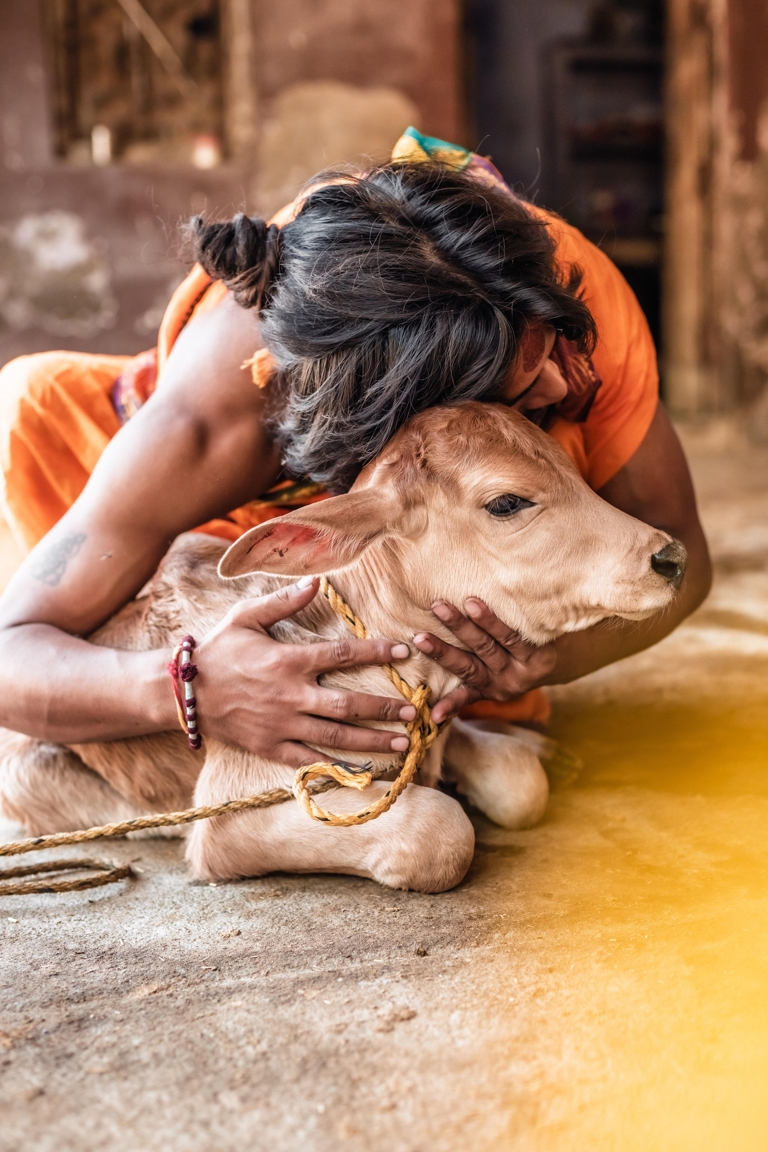 Devraha baba ji ashram life 2025. Mariam Bagdasaryan