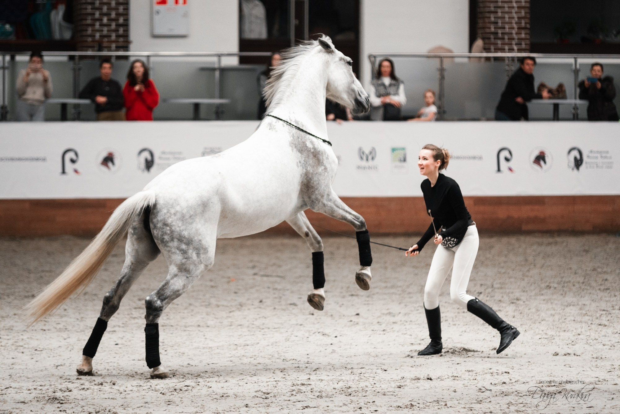 8-я международная выставка Конная Россия. Конный фотограф Куракина Дарья • Фотосессии с лошадьми