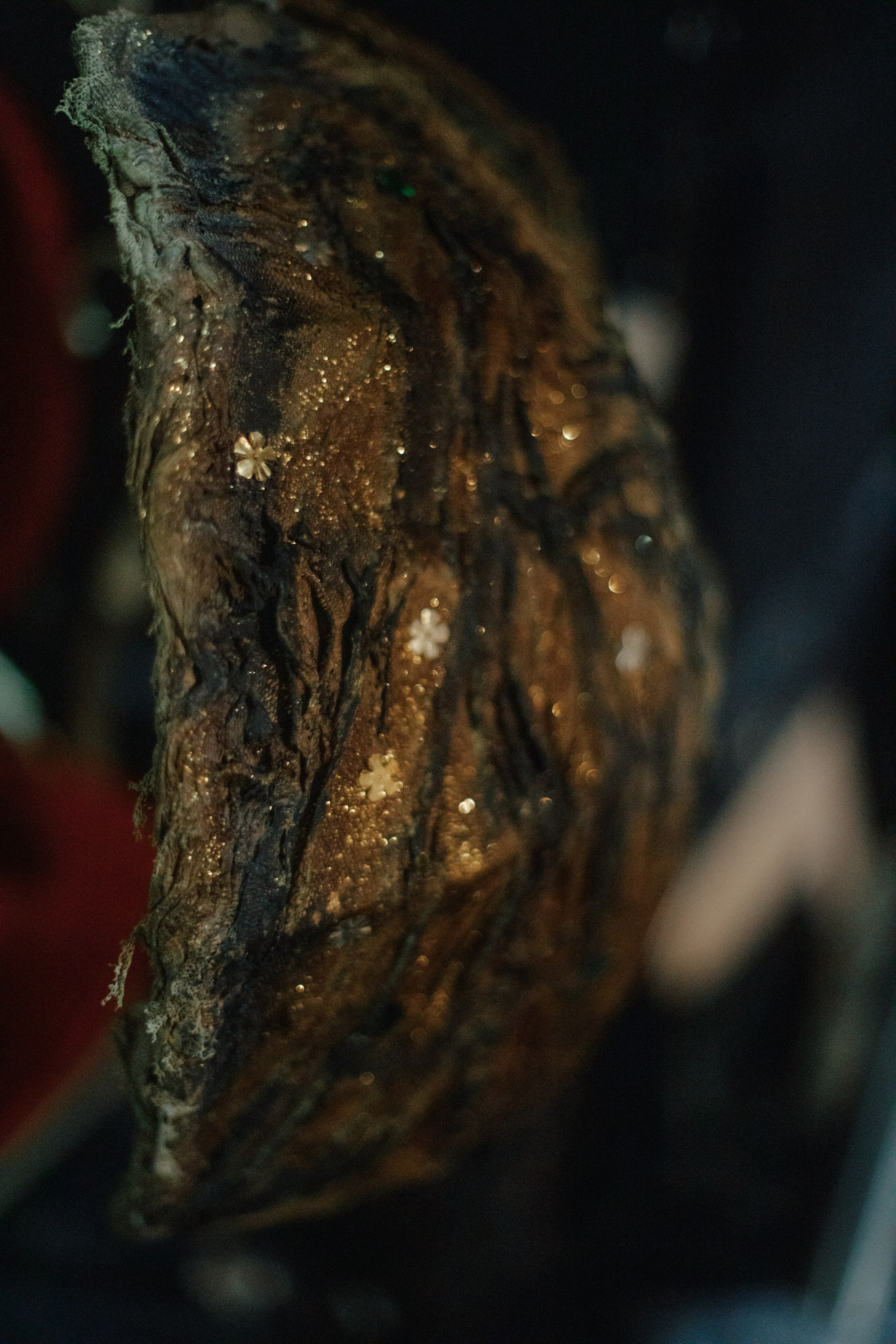 Балетные фотосъемки | Фотограф Юлия Калай. Калай Юлия. Фотограф. Москва