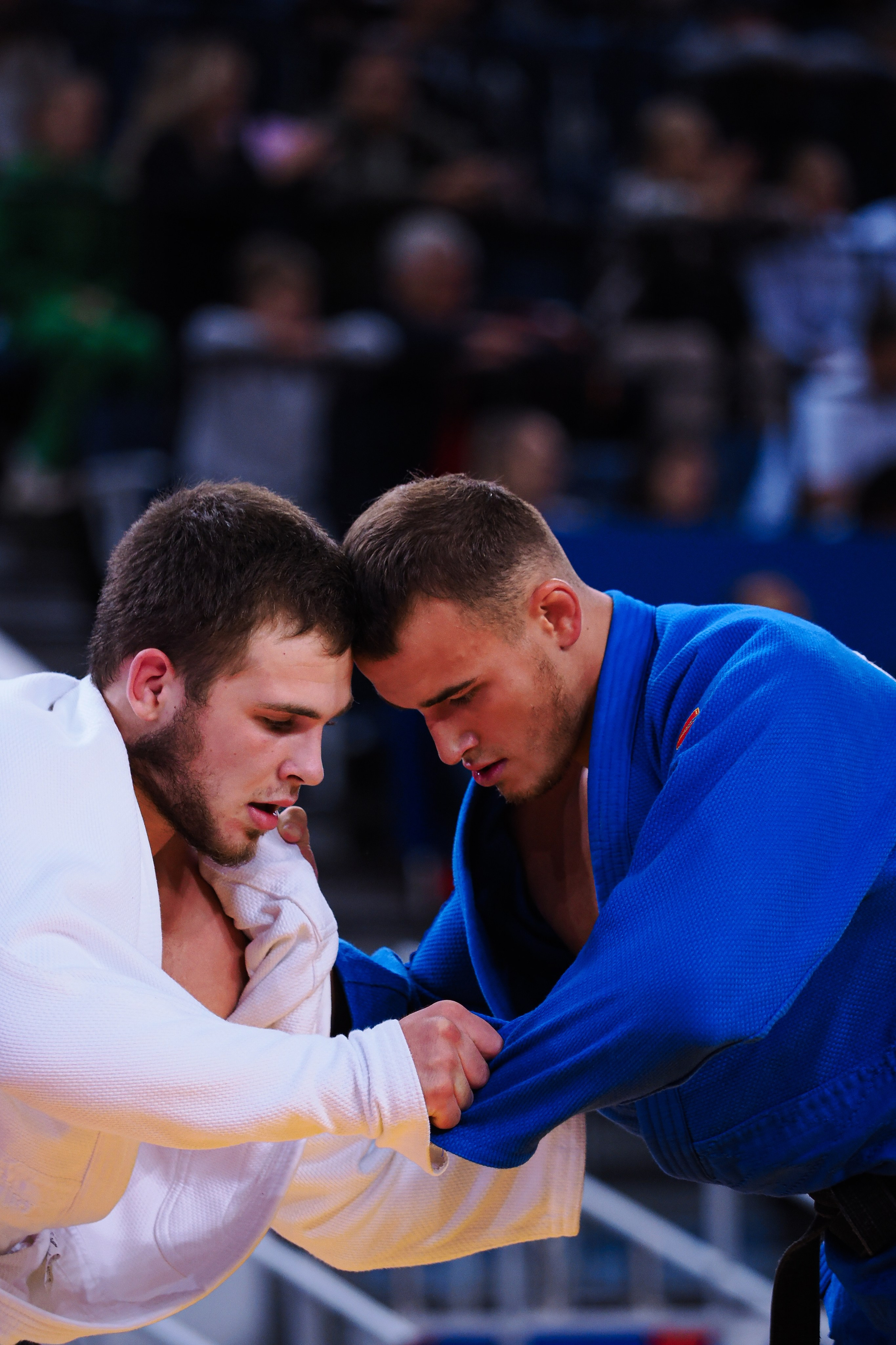 RUSSIAN JUDO TOUR (г. Красноярск). Репортажный фотограф Алексей Козьмин