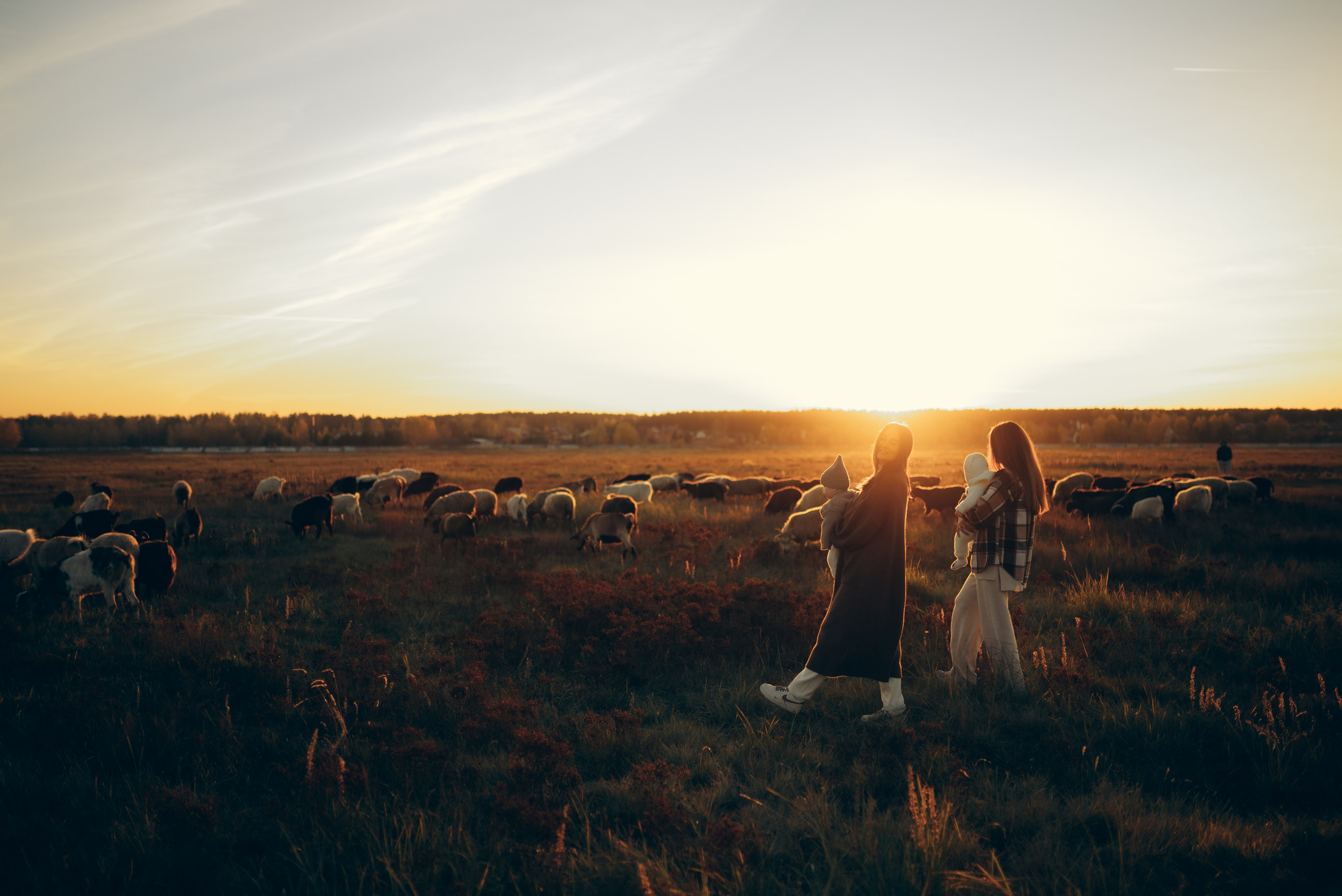 Семейный и детский фотограф в Щелково Алена Дробот