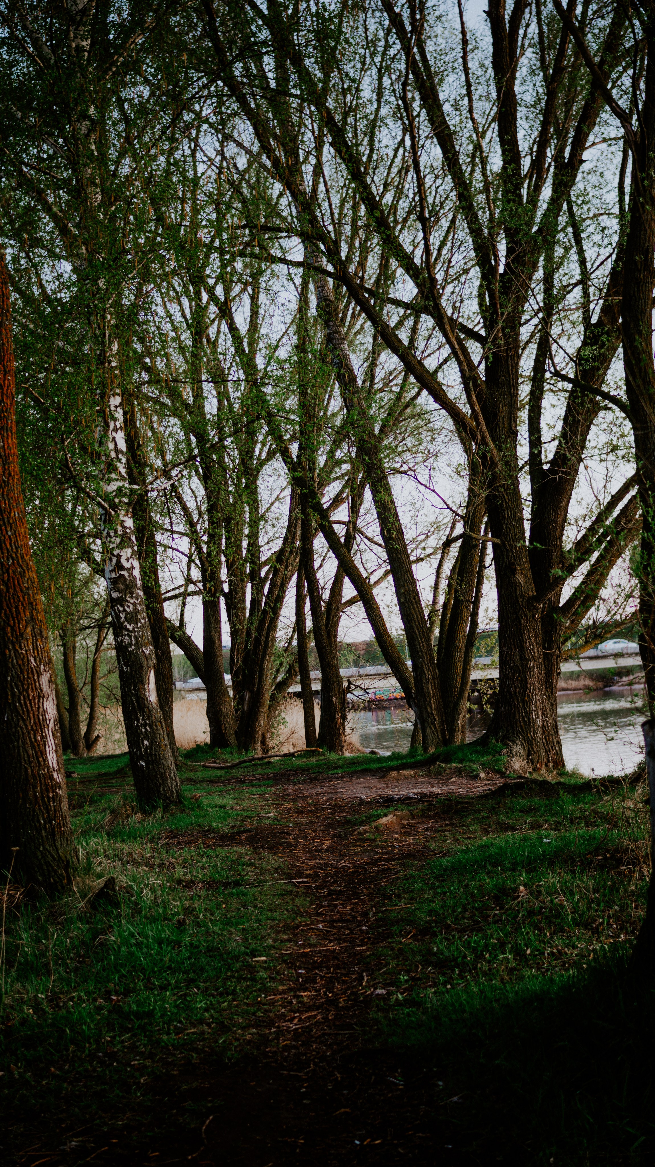 Wallpapers. Фотограф Казань