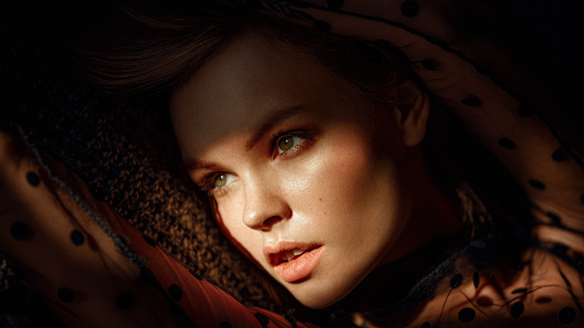 Indoor Portrait. Photographer Georgy Chernyadyev