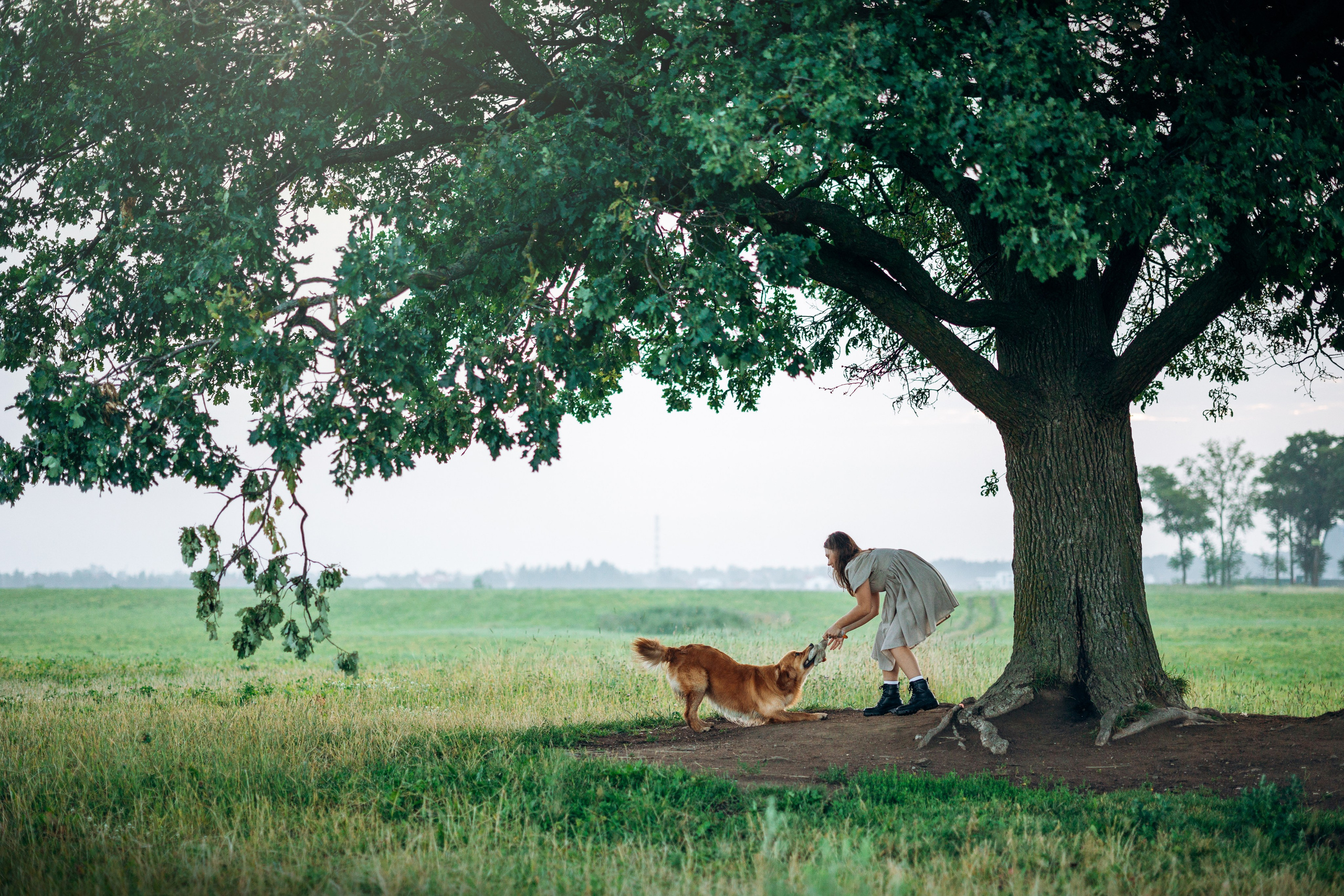 Аня и Ноллан. Фотограф — Анималист | Санкт-Петербург
