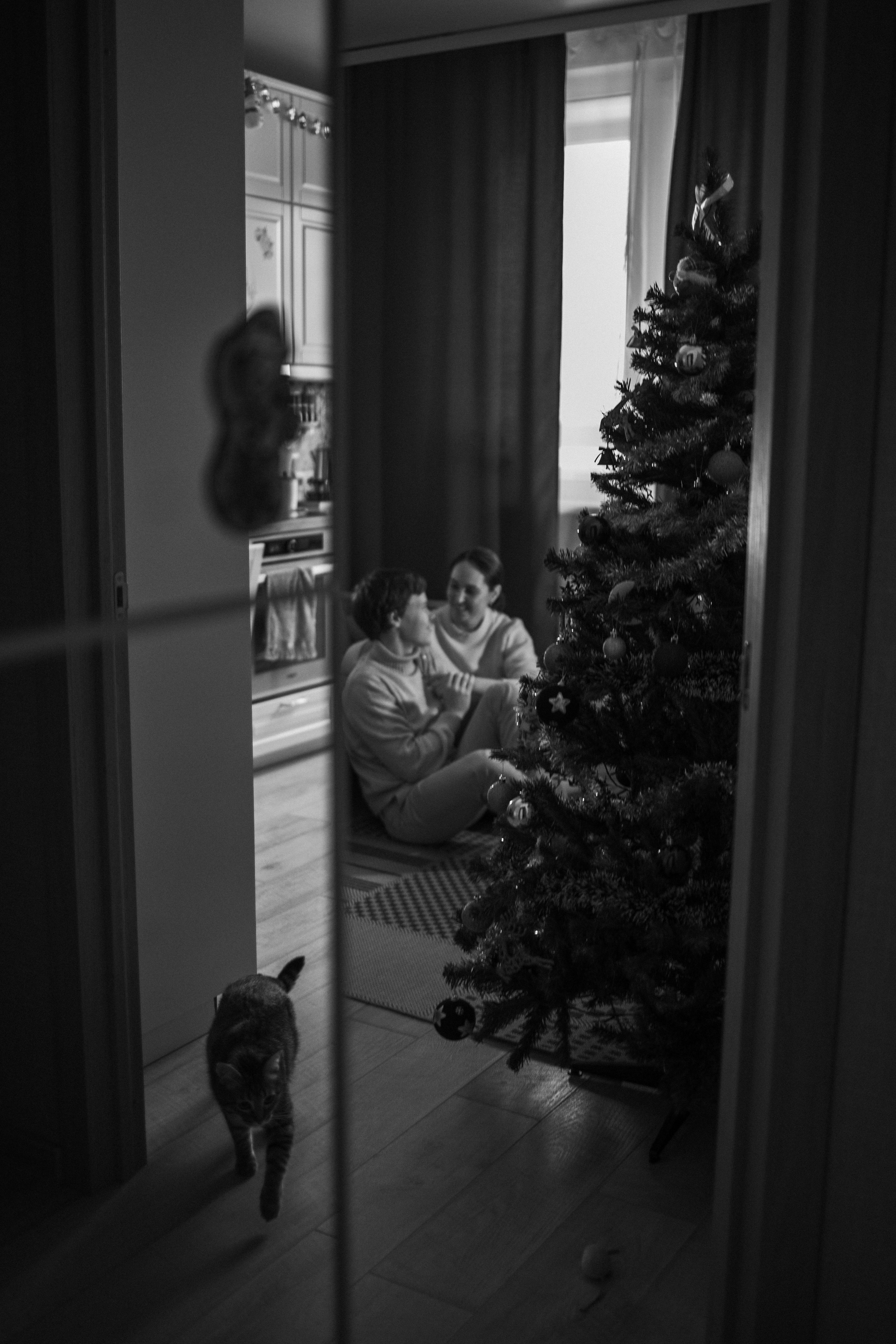 Мася и ее семья. Фотограф — Анималист | Санкт-Петербург