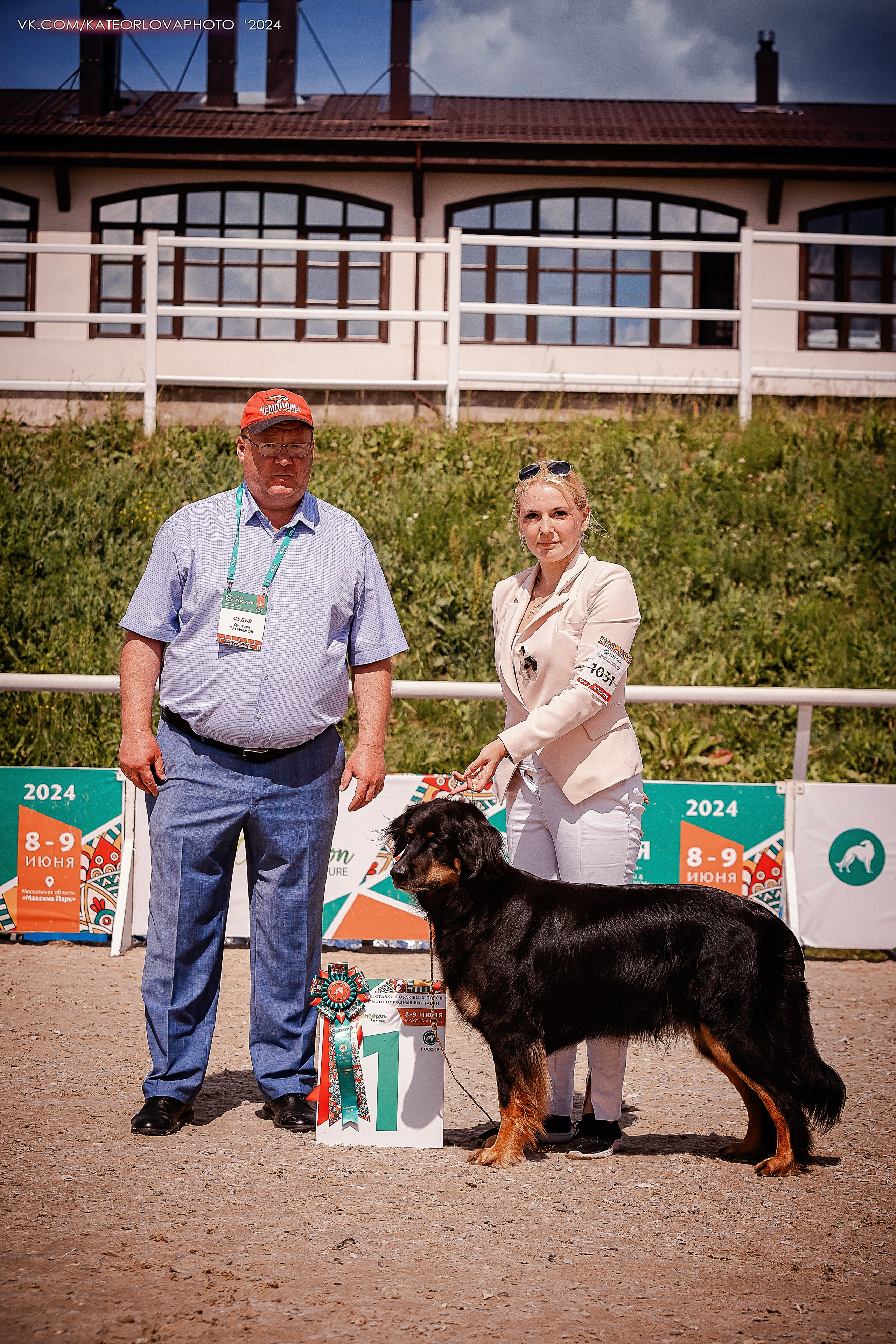 Фотосъемка собак, щенков, на выставках, фотограф анималист Россия воронеж. Питомник собак Акита, Хаски, Корги