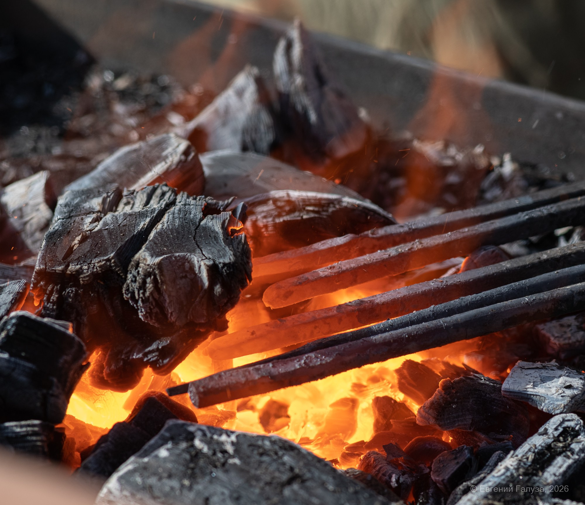 Масленица 2026 в Чите. Репортажный фотограф г. Чита