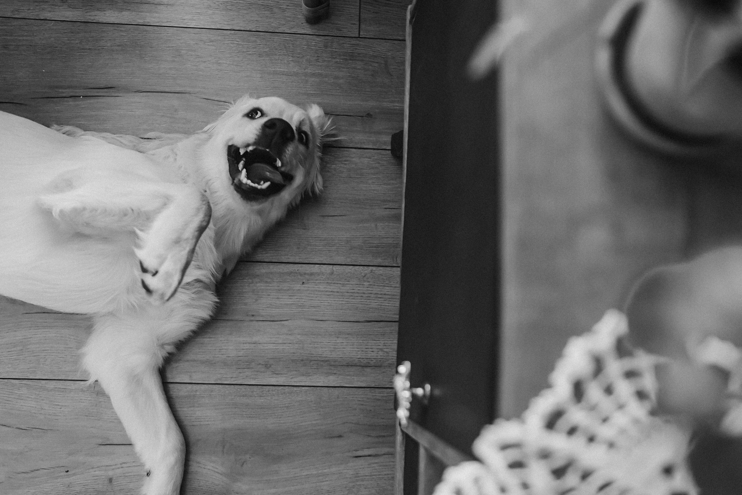 Наська (Чусовой). Семейный фотограф Тюмень, фотограф на роды Салмина Мария