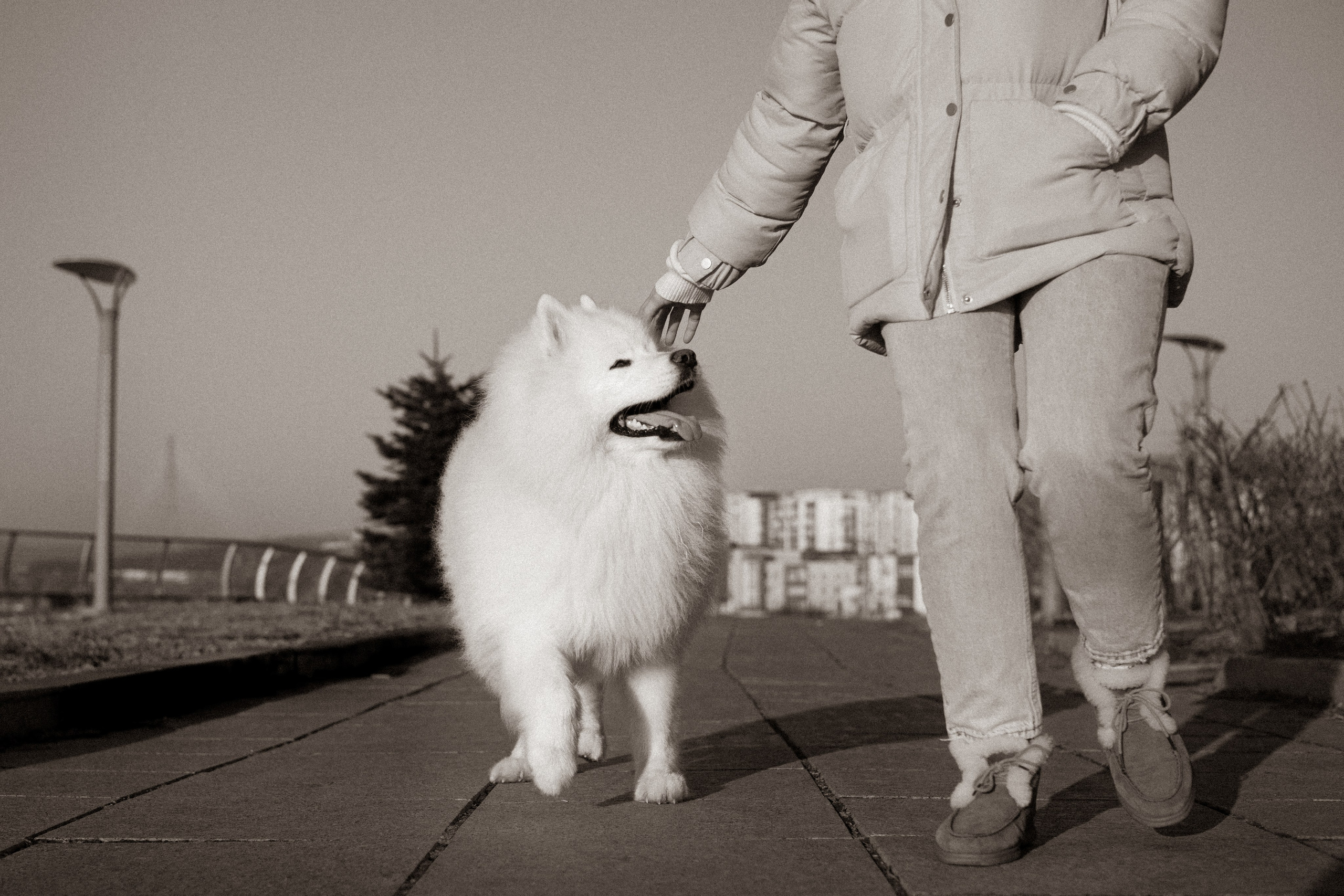 Полина и Вирчик. Фотограф — анималист Владивосток, Алина