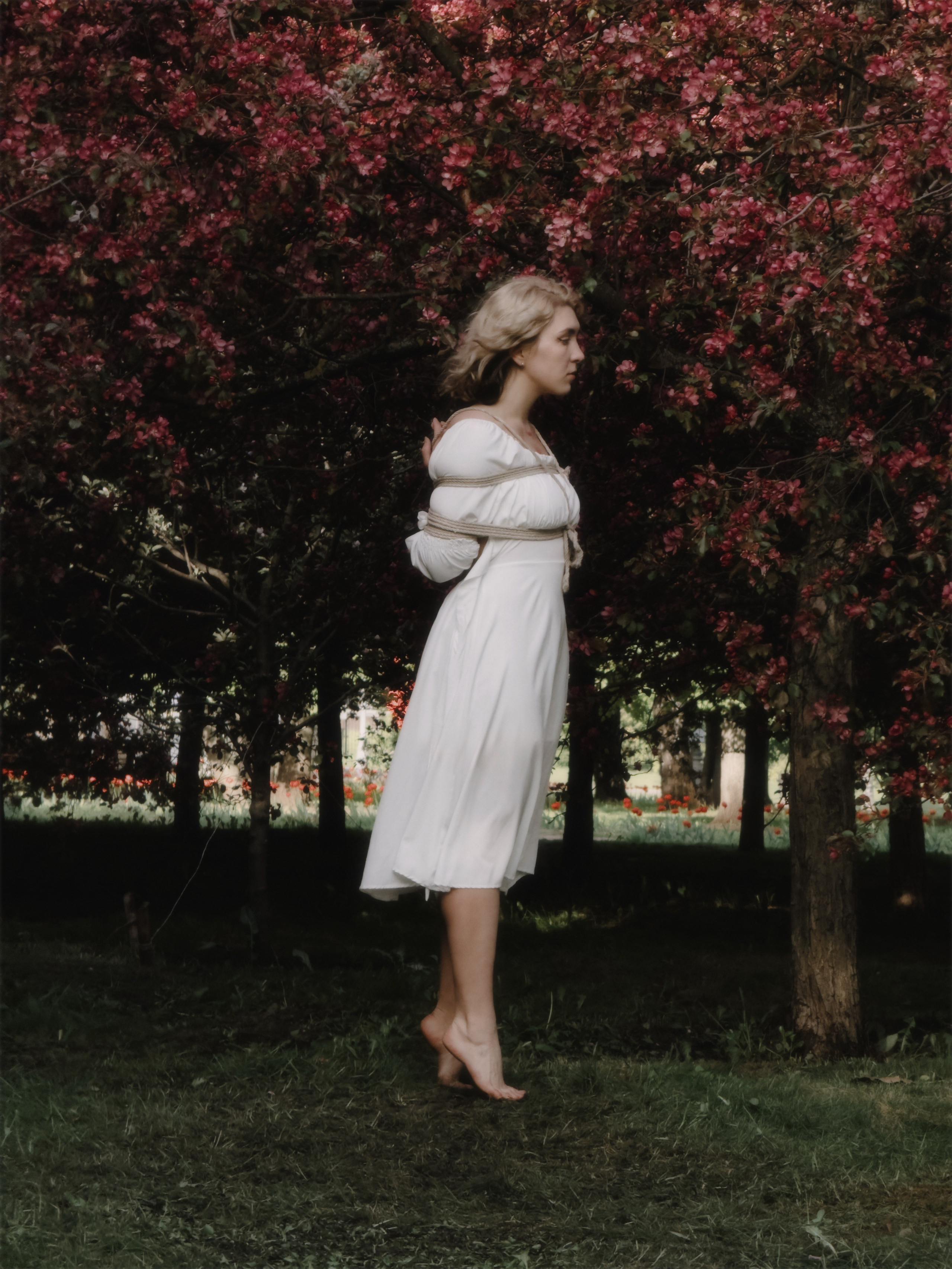 Shibari. Luckyframe1