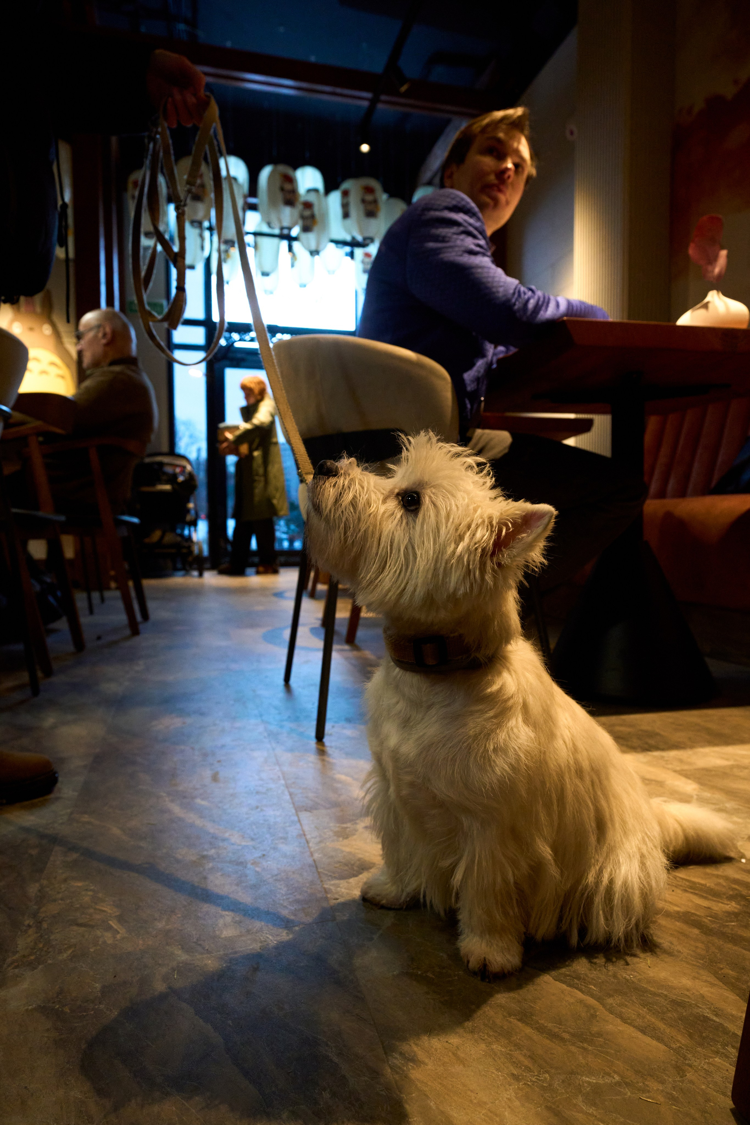 Открытие ресторана «Омотенаси»