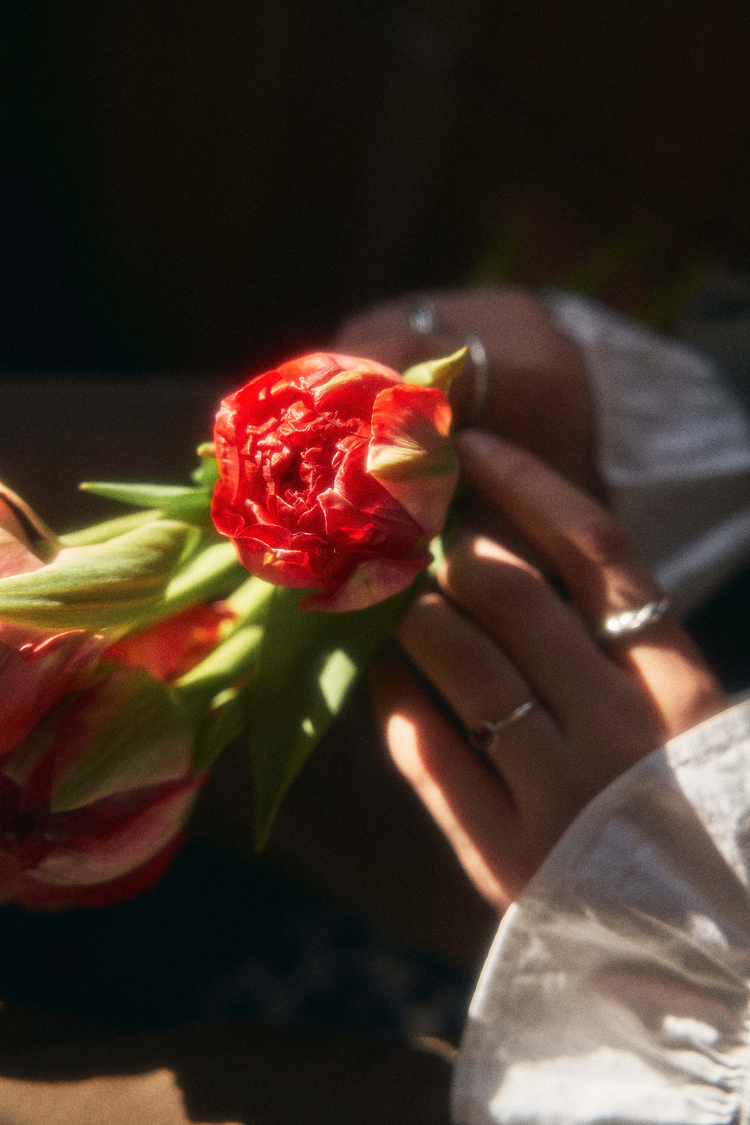 Саша. Фотограф в Санкт-Петербурге | Аня Маленчук