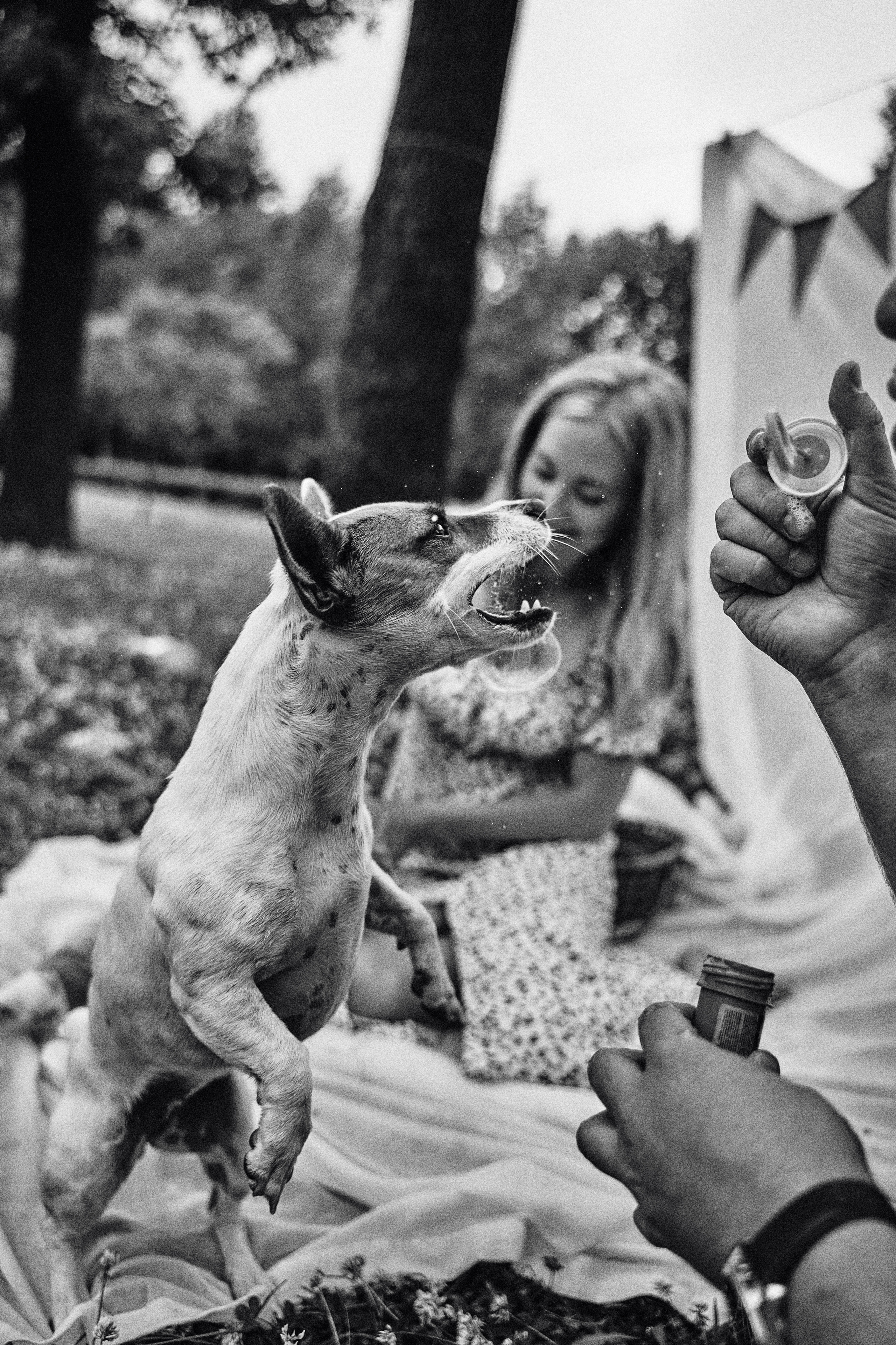 Настя, Артем и Глеб. Фотограф в Санкт-Петербурге | Аня Маленчук