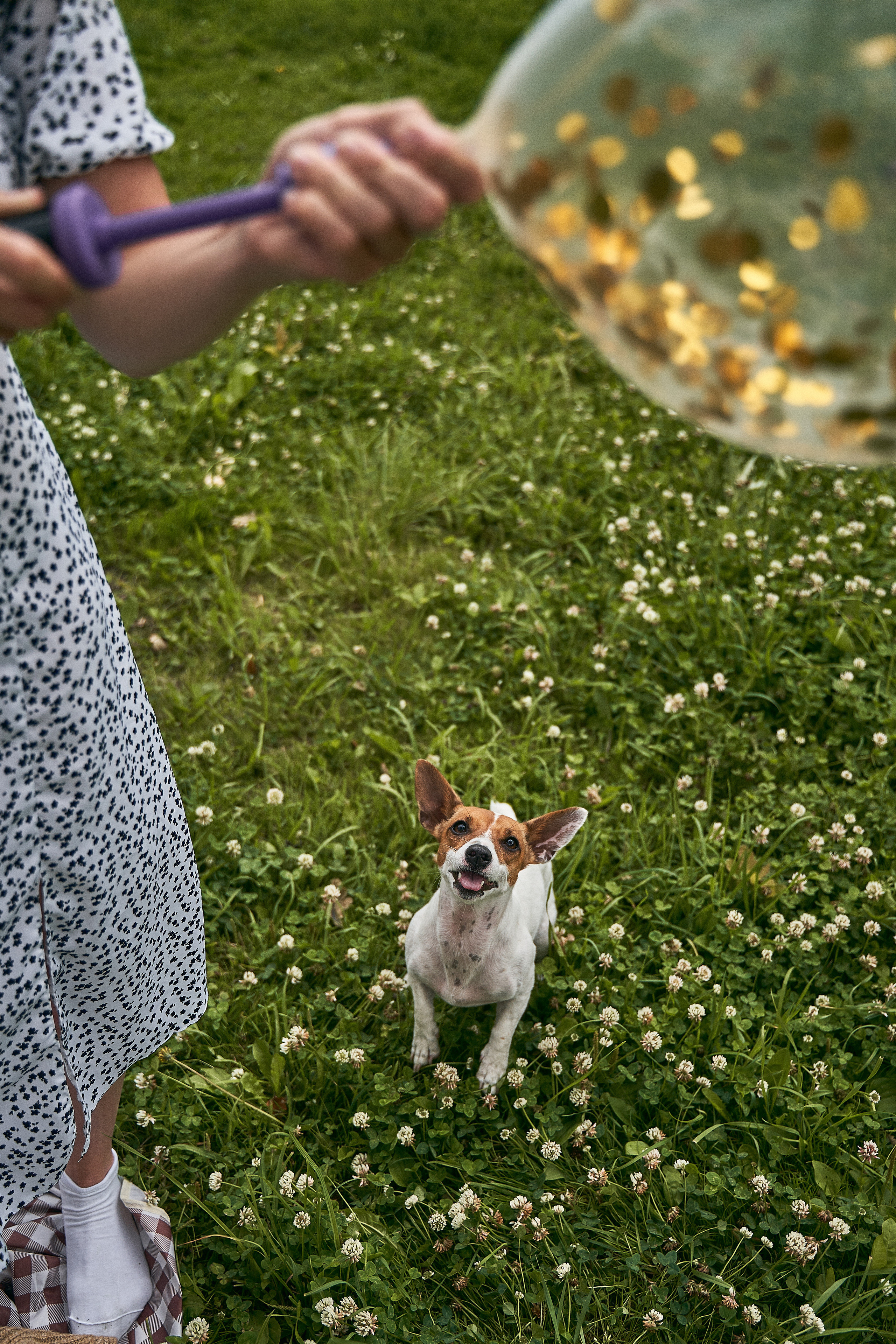 Настя, Артем и Глеб. Фотограф в Санкт-Петербурге | Аня Маленчук