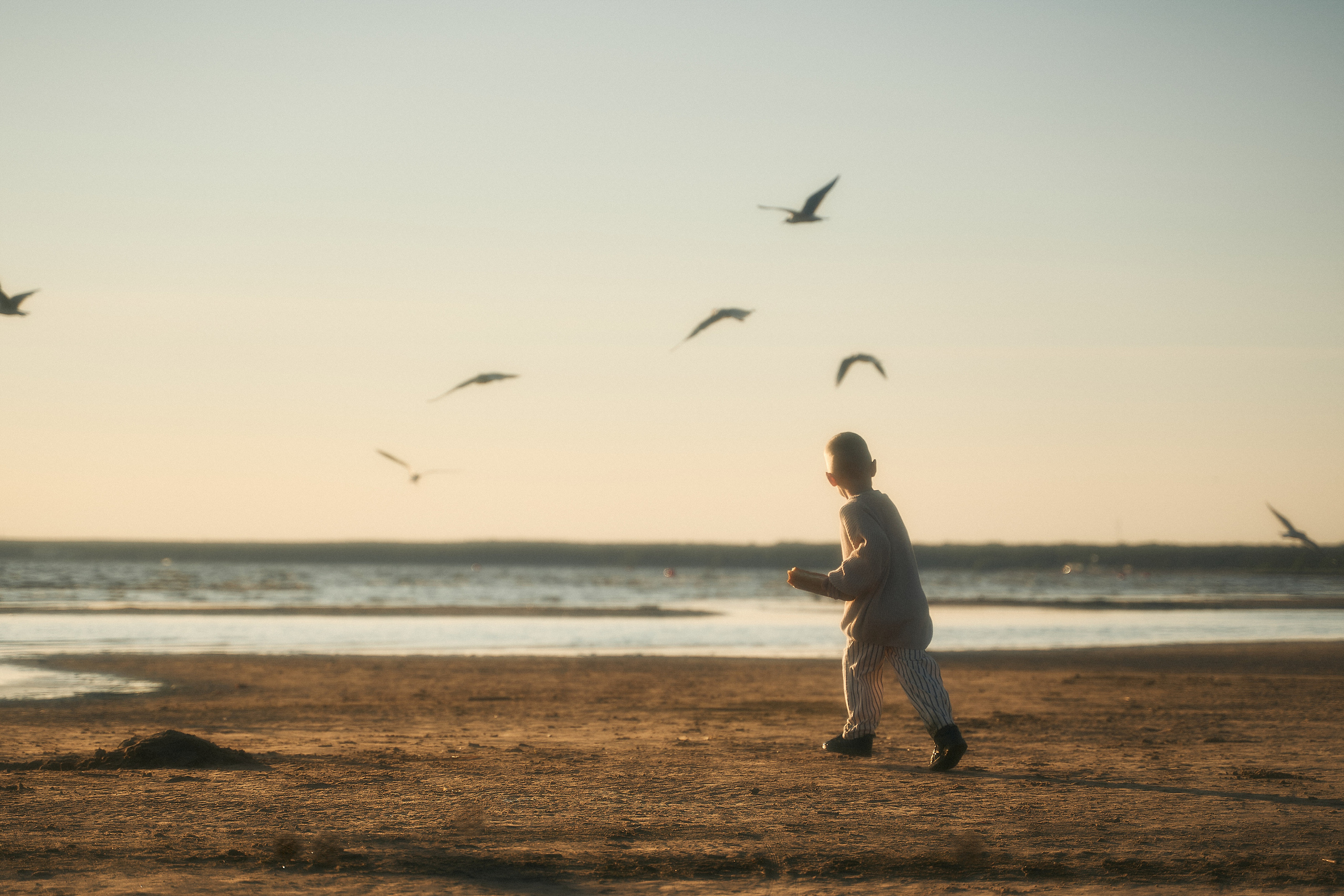 Настя, Коля, Тим, Лева. Фотограф в Санкт-Петербурге | Аня Маленчук