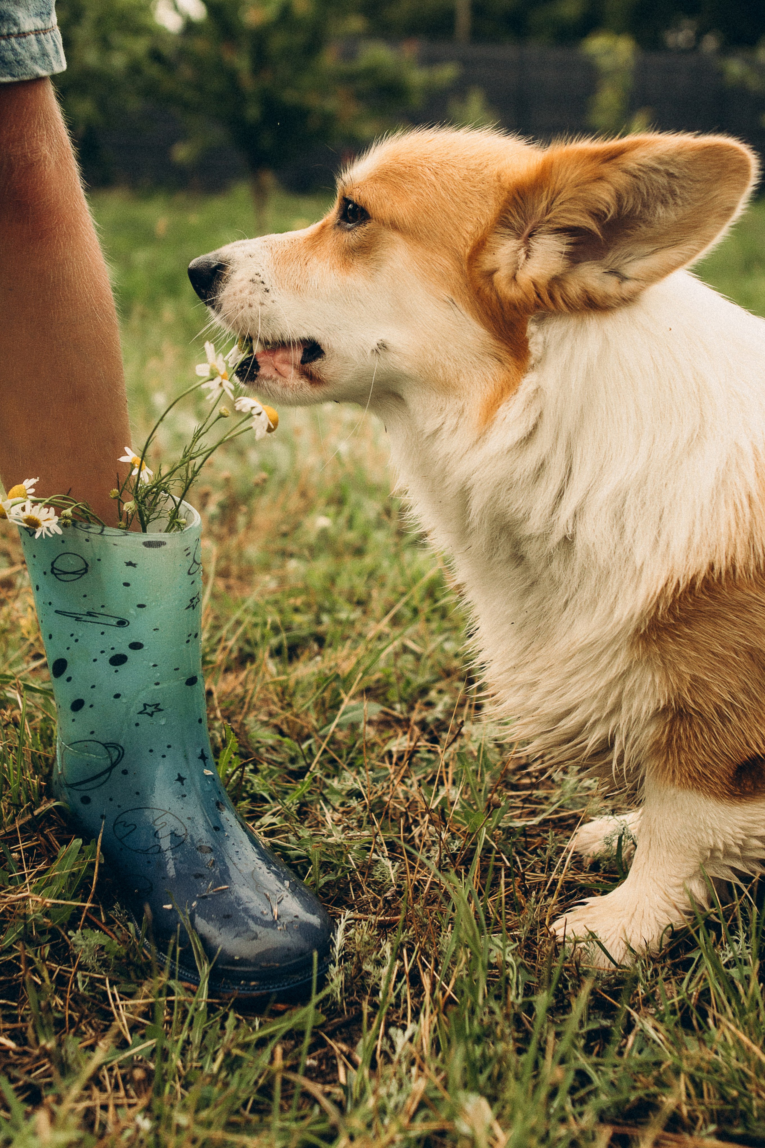 Коля, Марина, Даня и Маруся. Семейный фотограф и детский фотограф в Волгограде Алеся Бутакова — дет