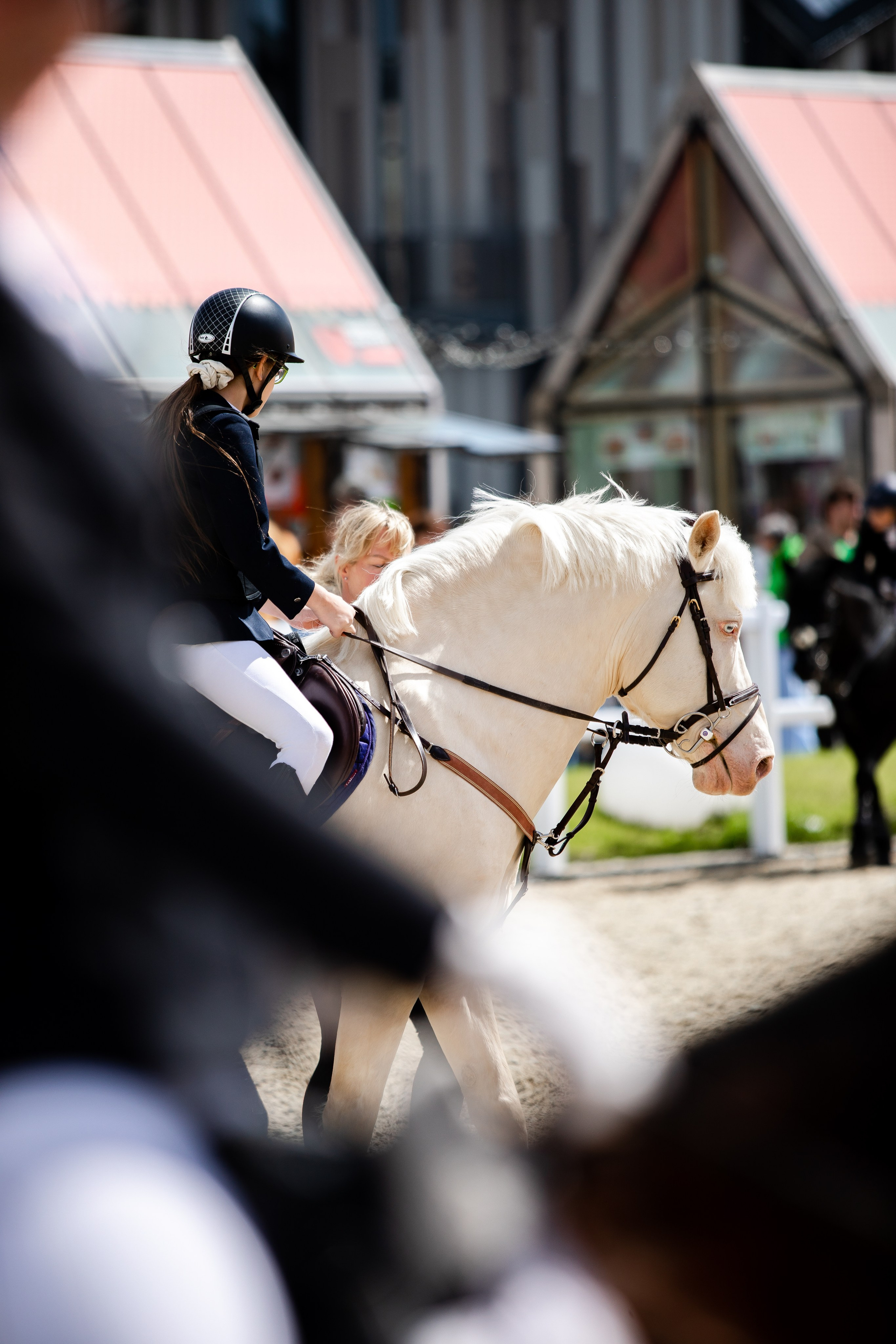 Турниры. Veronika Makeeva horse photo