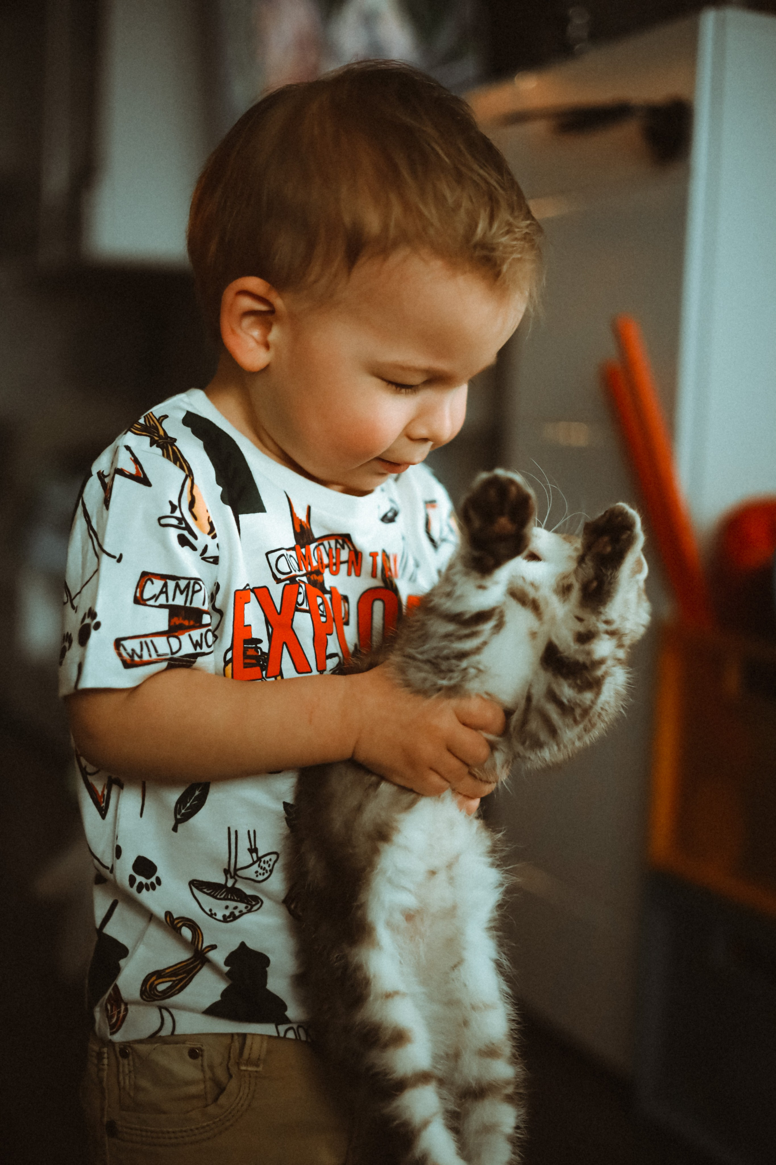 Домашняя. Фотограф Оксана Пономарева