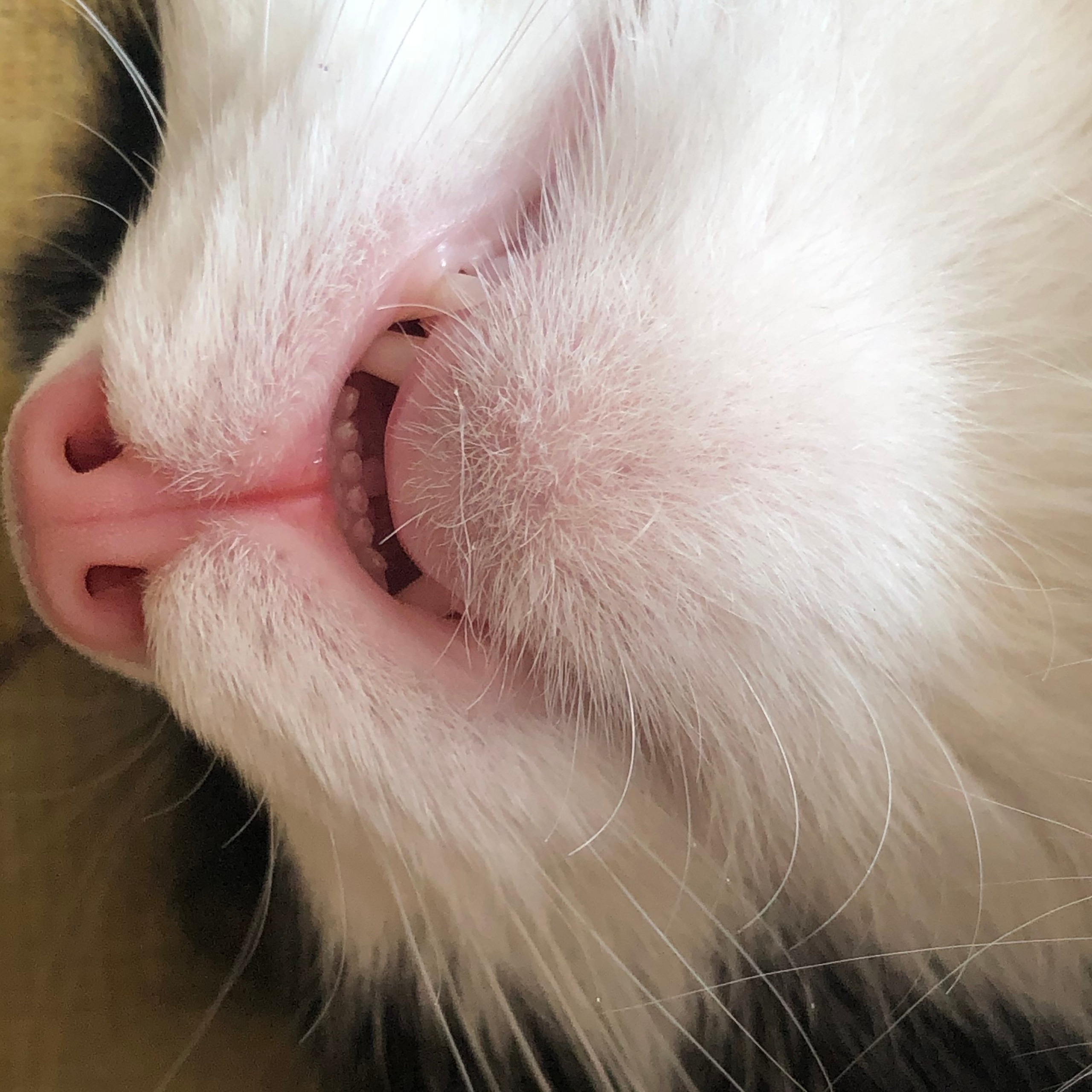 Визуальный дневник. Портретный фотограф в Москве Гахраманова Екатерина