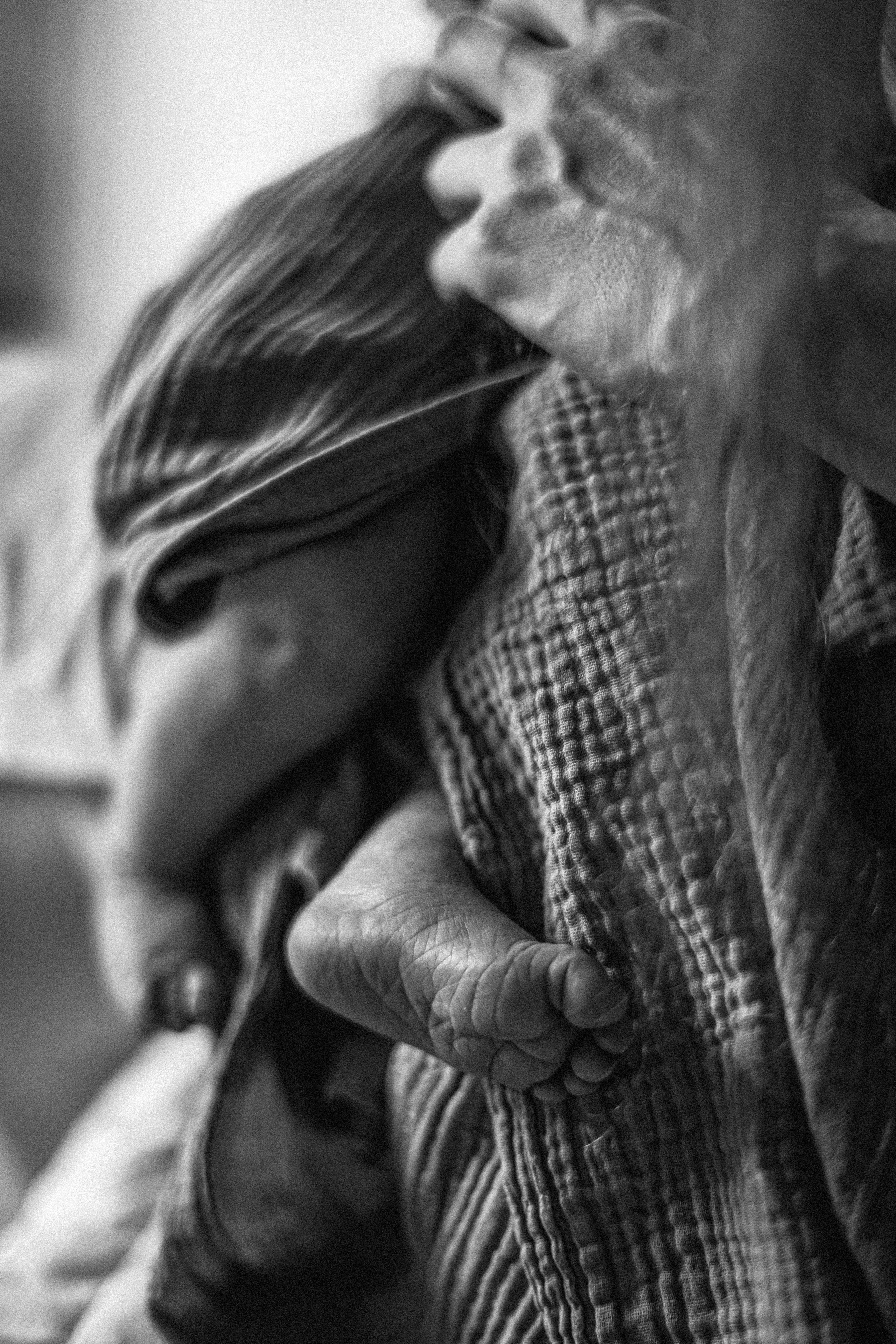 Малыш Денис. Фотограф в Москве Базанова Дарья