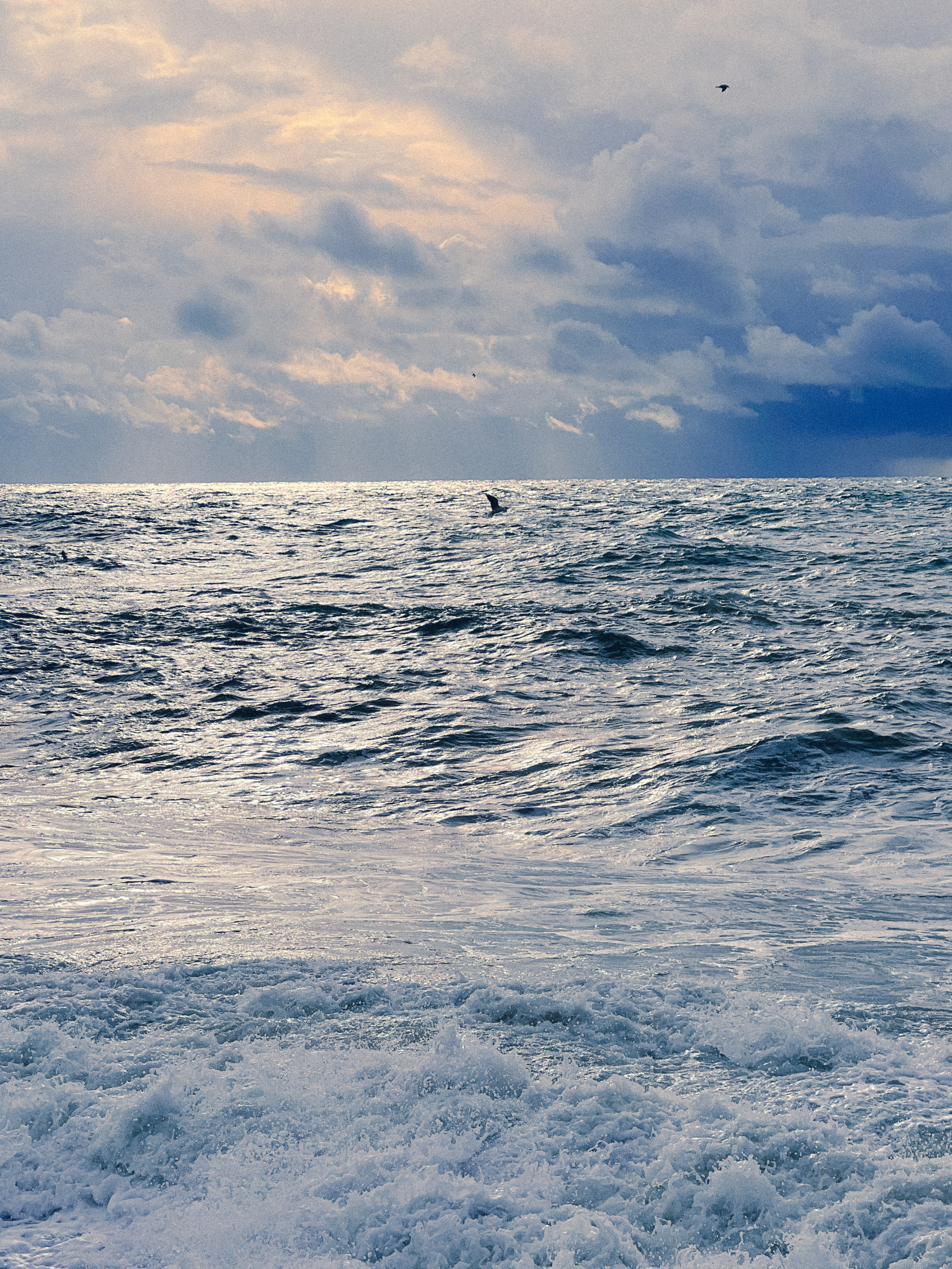 Seaside. SHILOVA PHOTO. Шилова Екатерина. Фотограф. Москва