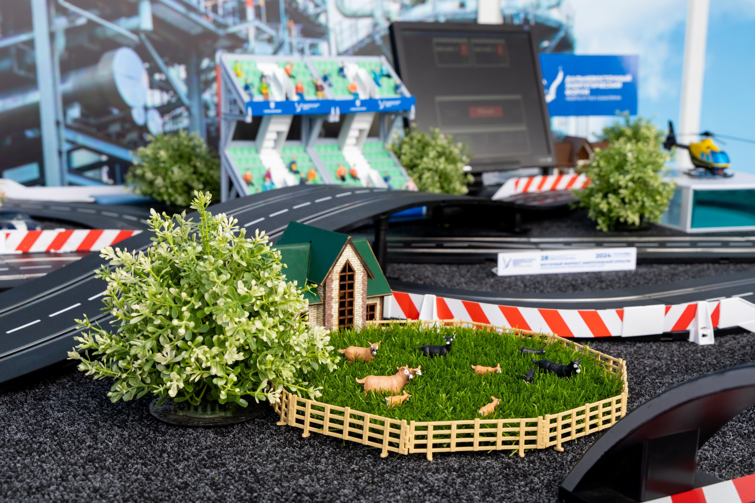 ВЭФ 2024. Репортажный и студийный фотограф во Владивостоке Дударева Софья