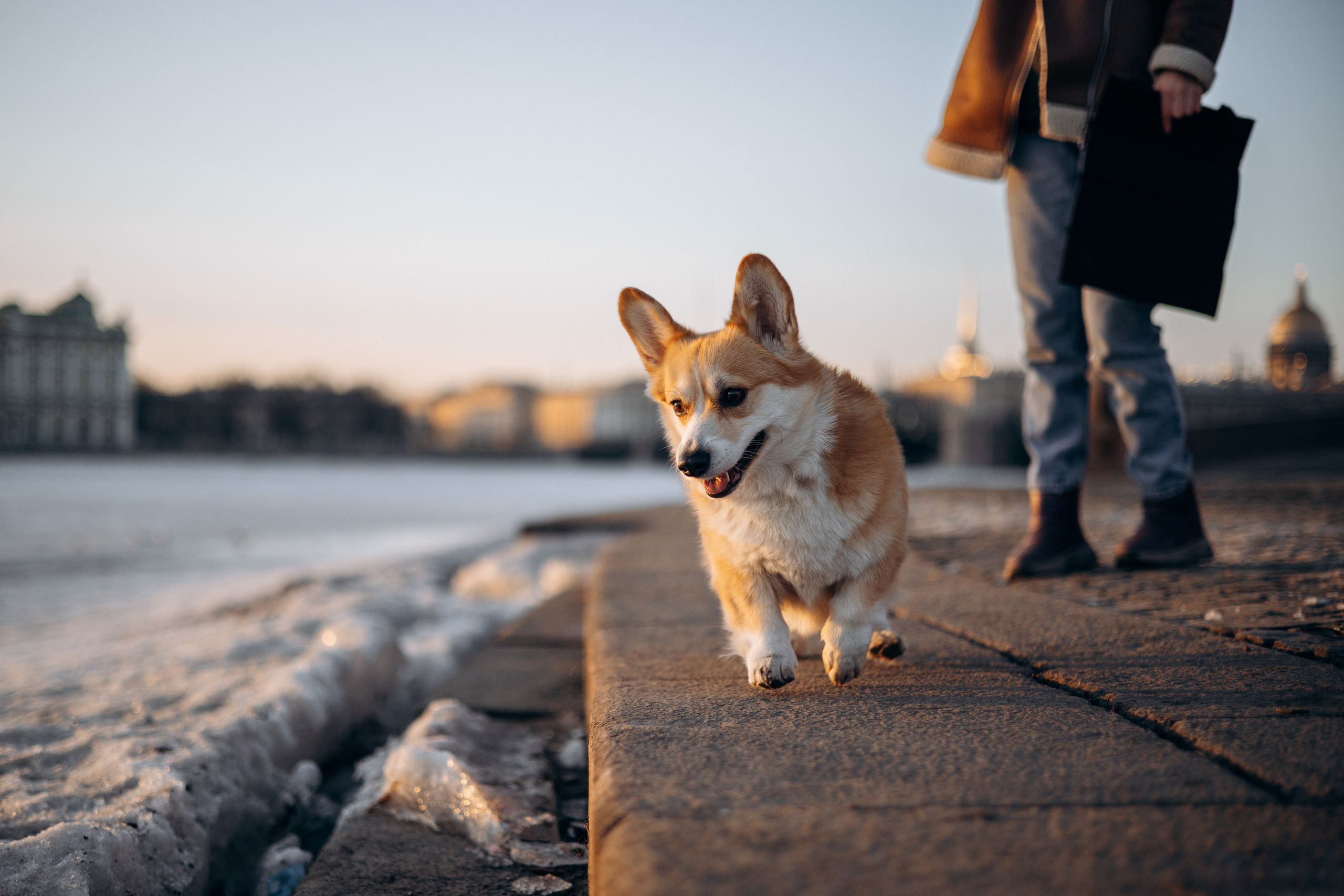 Настя и Ева. Фотограф — Анималист | Санкт-Петербург
