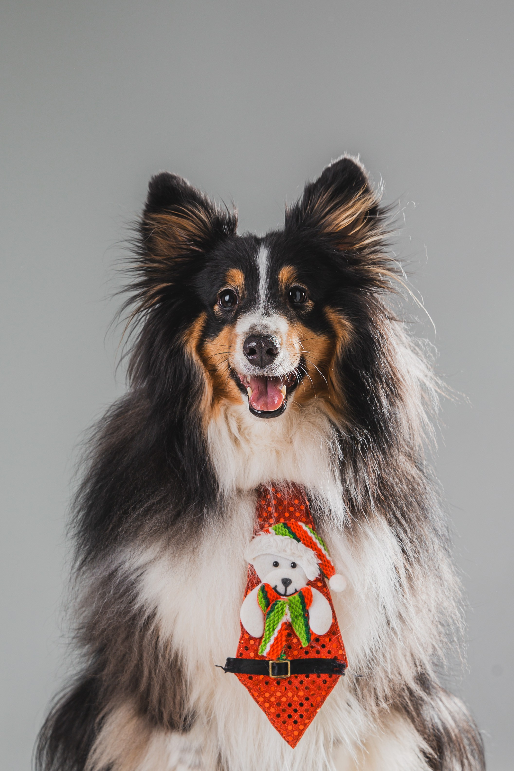 Воркшоп по импульсному свету