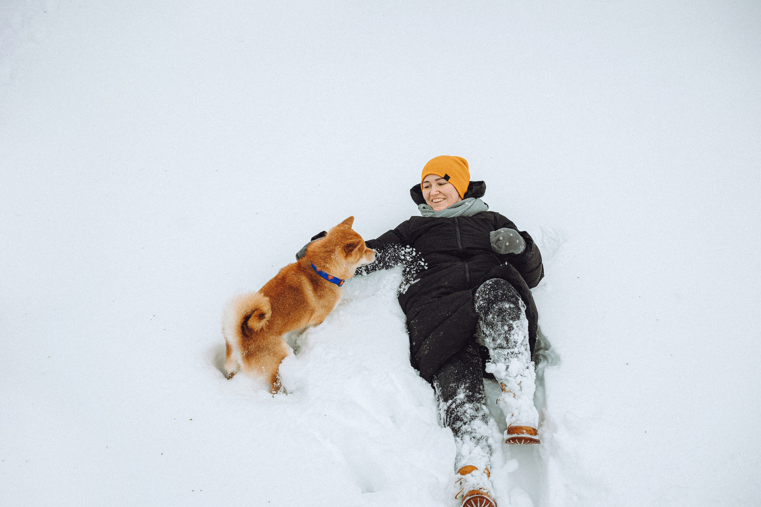 Настя и Ронин