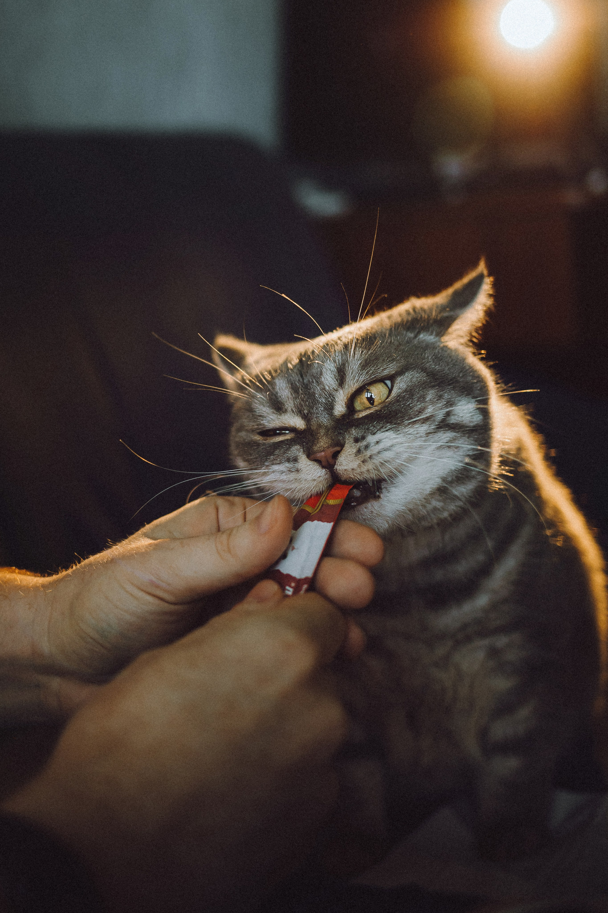 Яся и ее семья