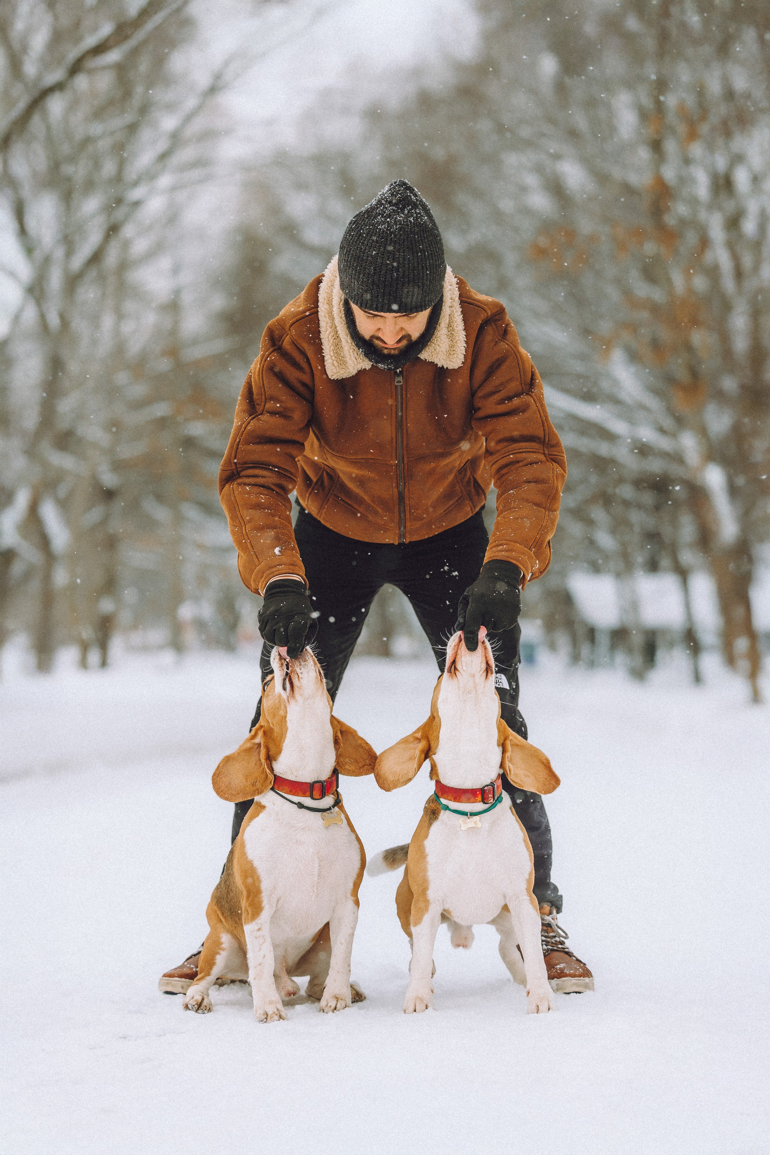 Роман, Портер и Коррес