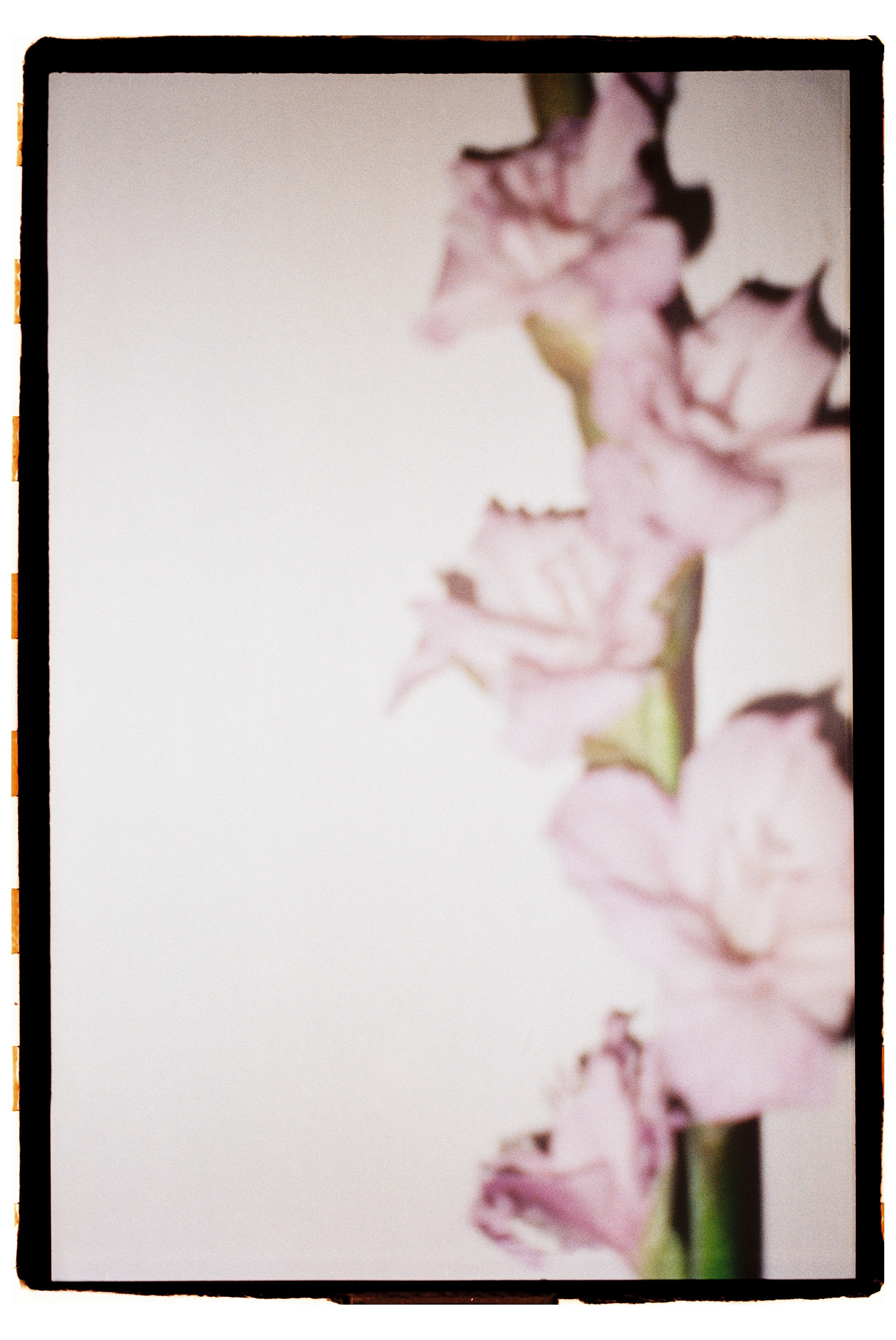Film dairy. ㅤ