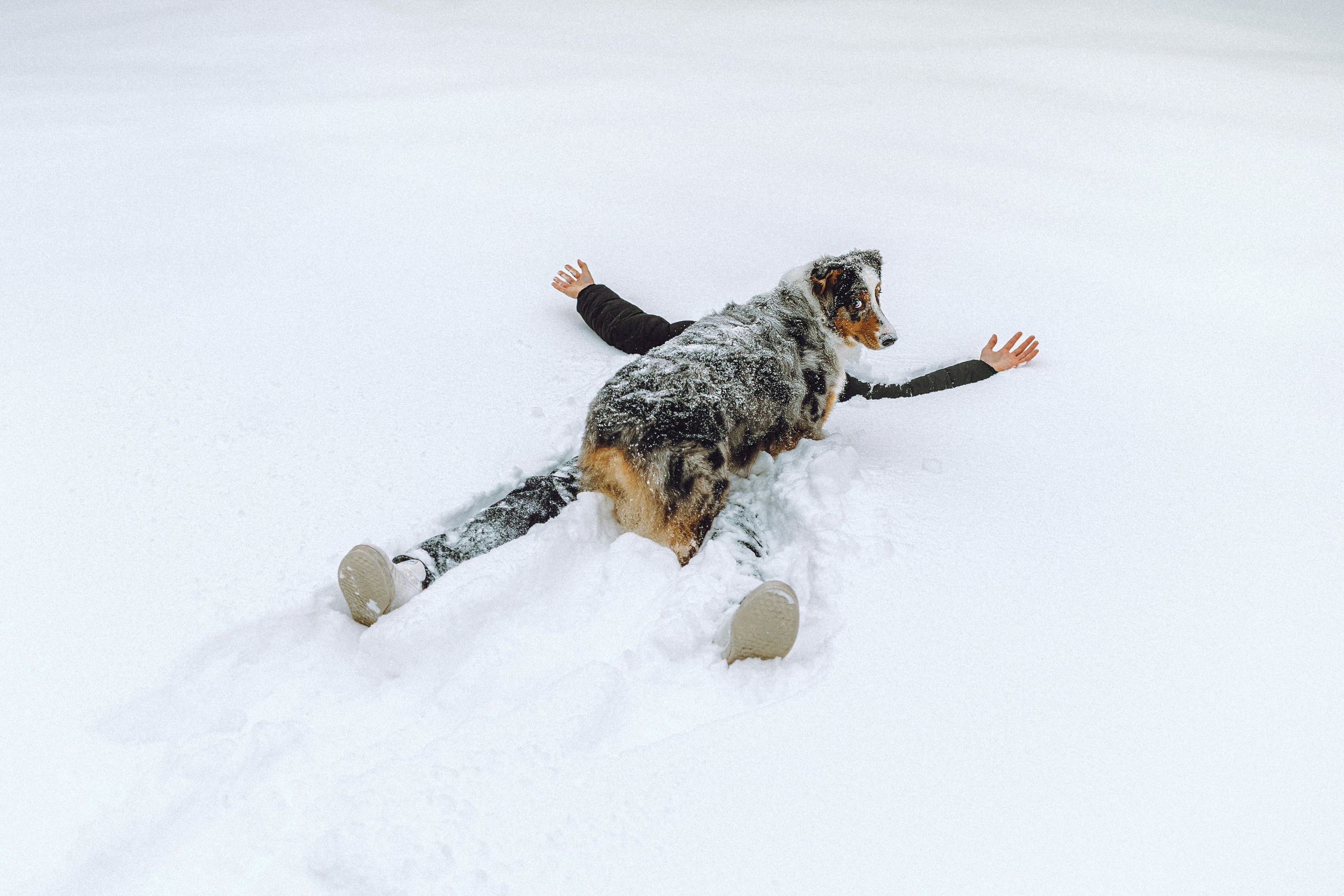 Фаня и ее семья