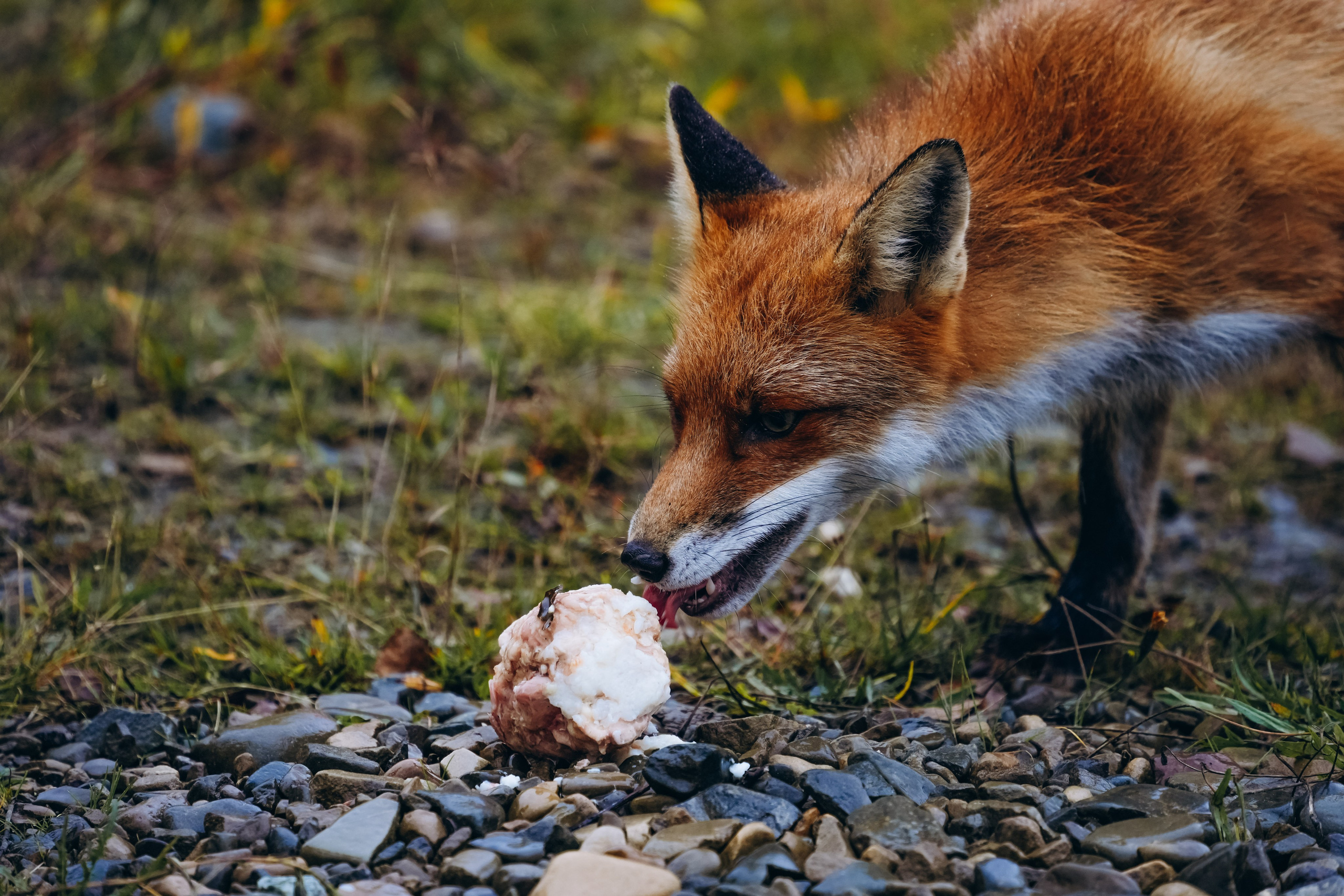 СЕВЕР. Event фотограф Степанова Александра
