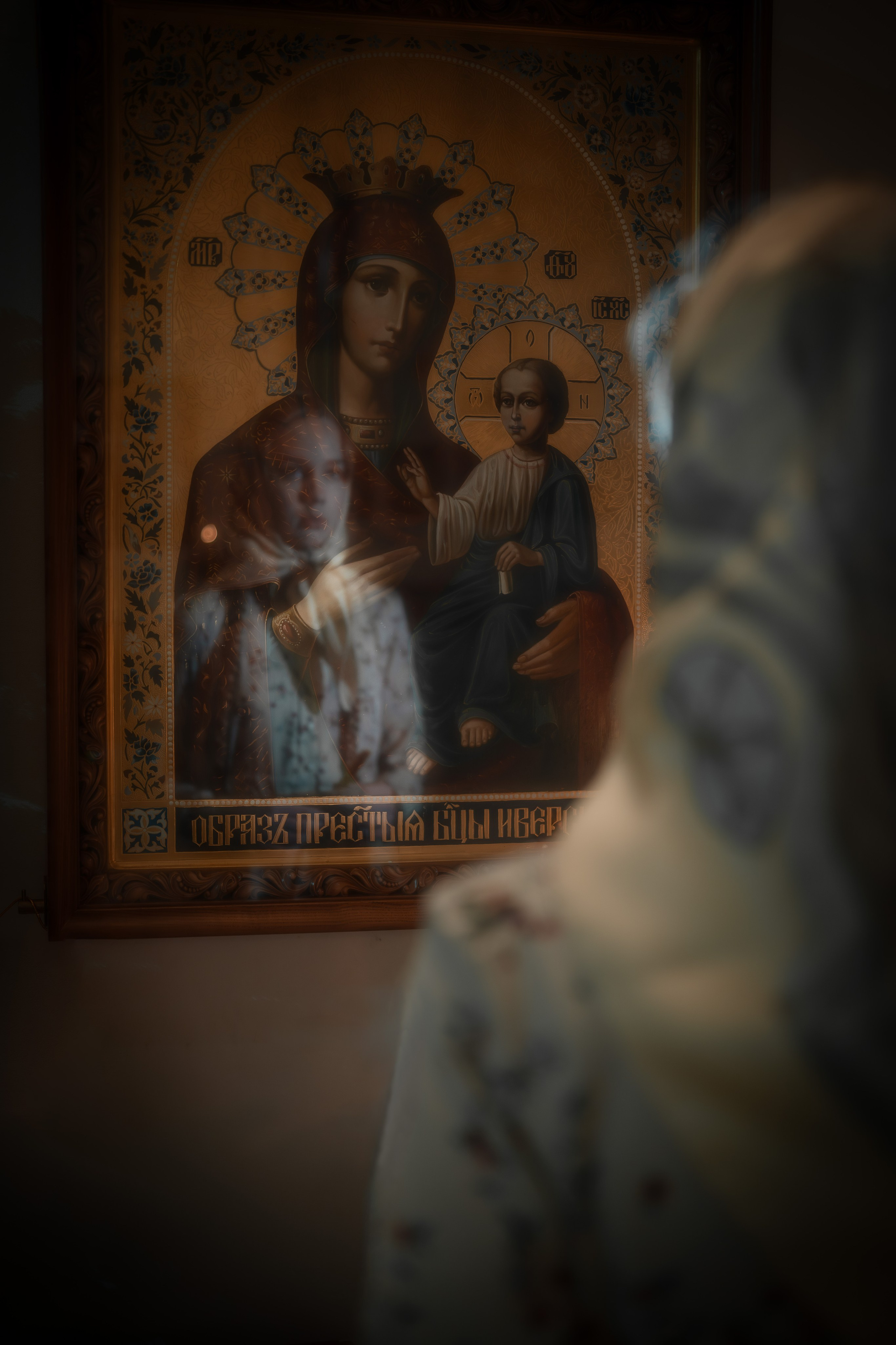 ПОЛИНА. Shamirov Arkadiy