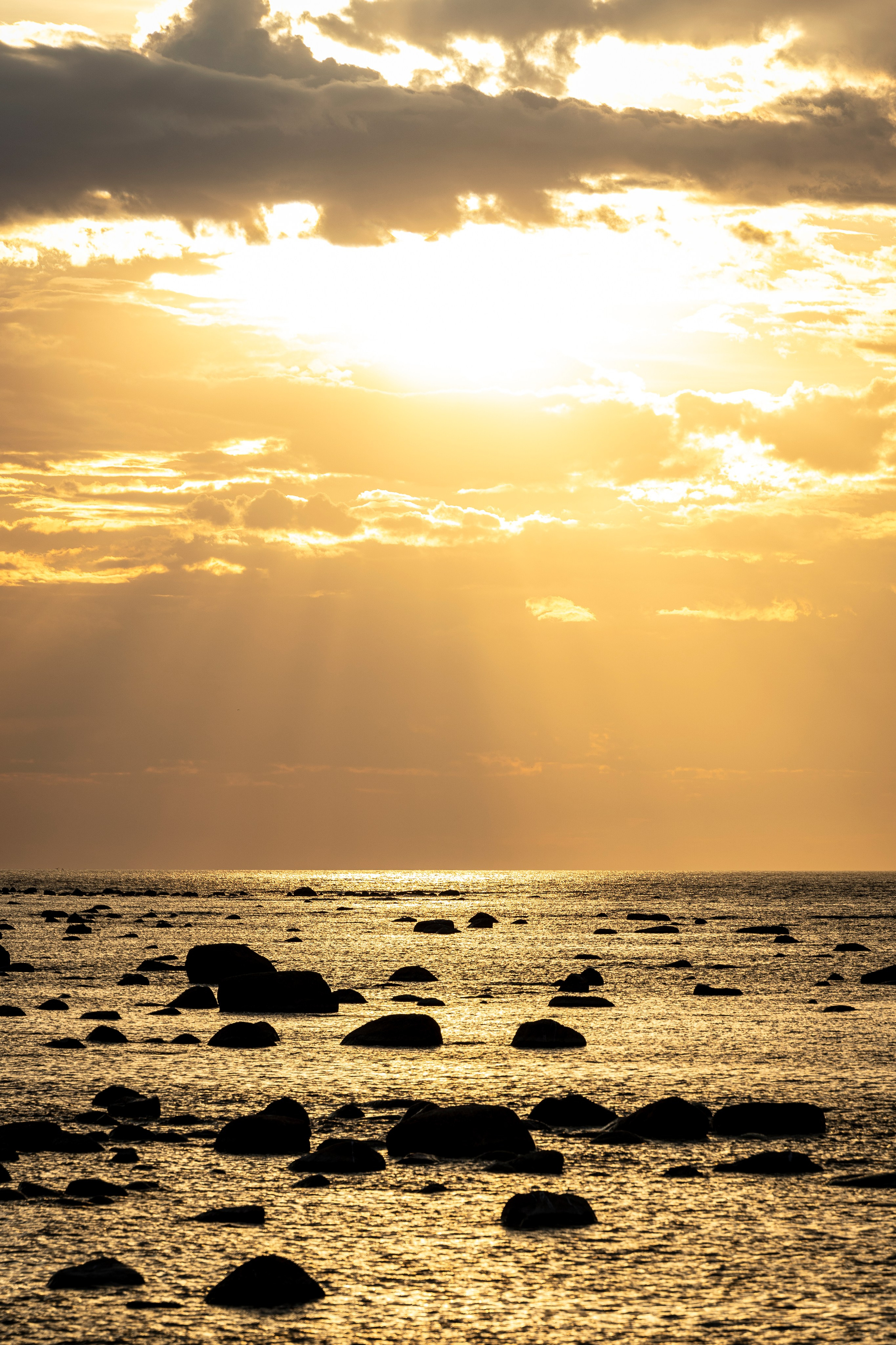 Ричард залив. Фотограф-анималист Анна Маринич